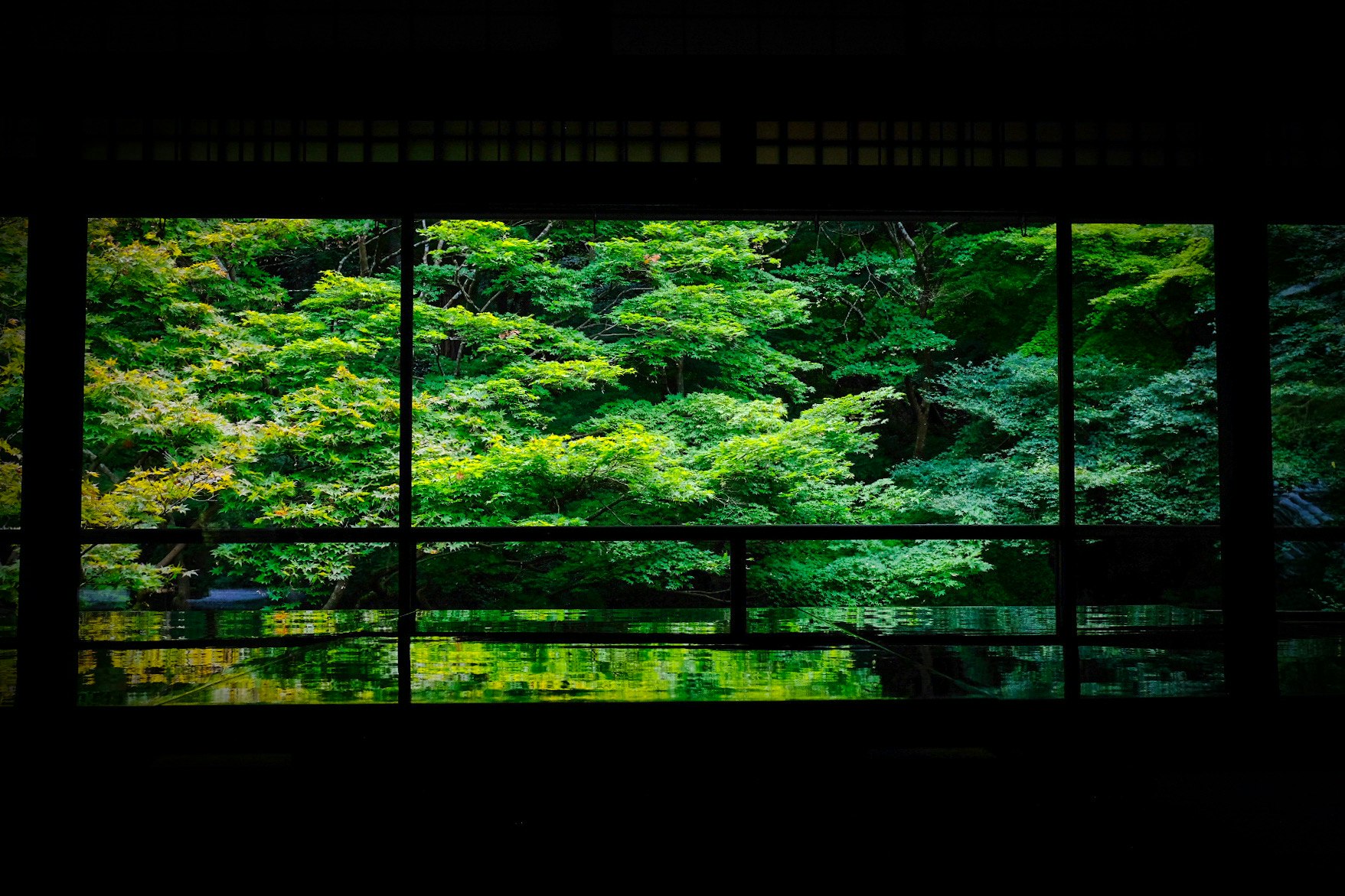 窓越しに見える緑の森と木々の景色