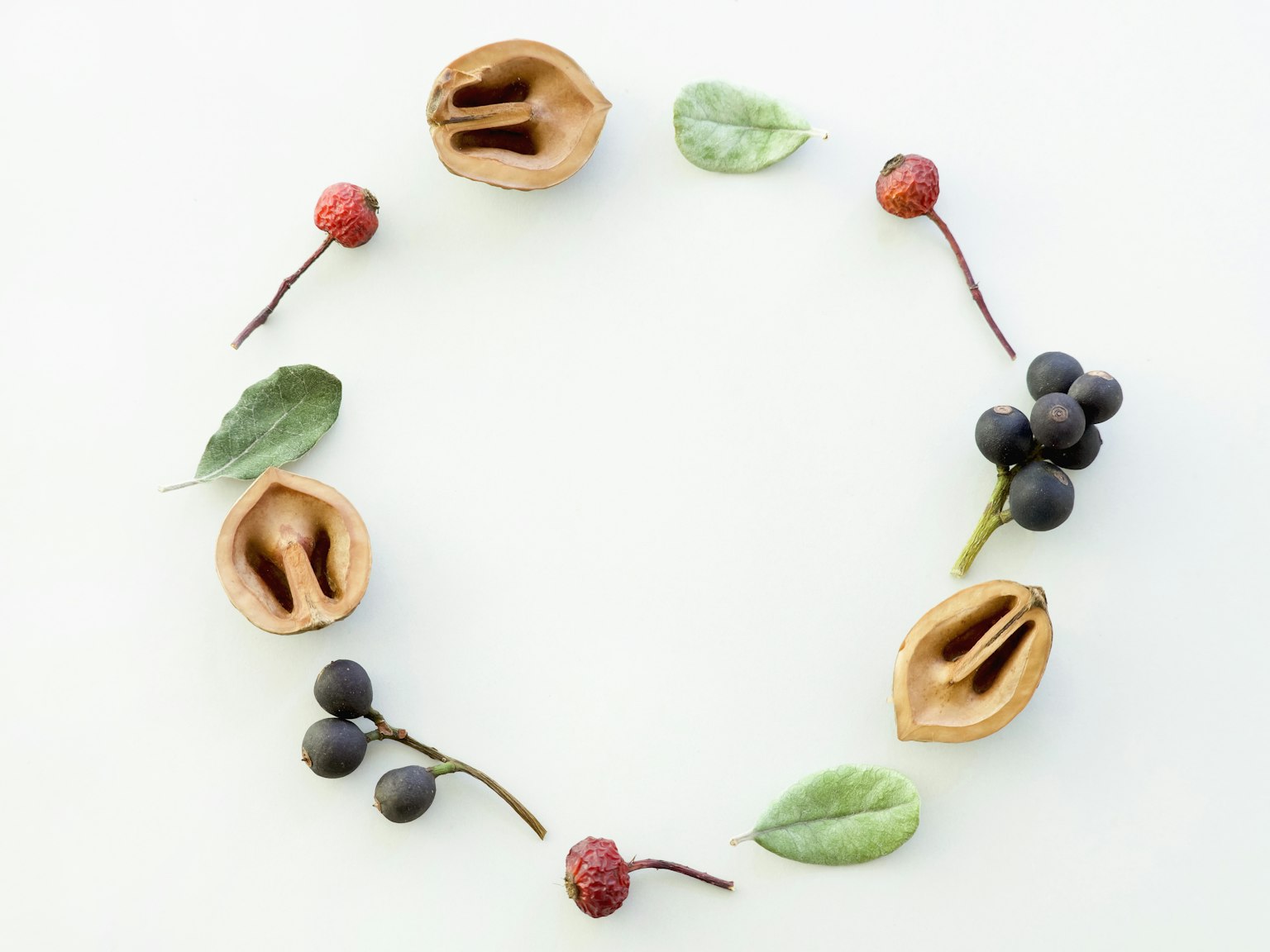 Composizione circolare di materiali naturali con foglie e frutti