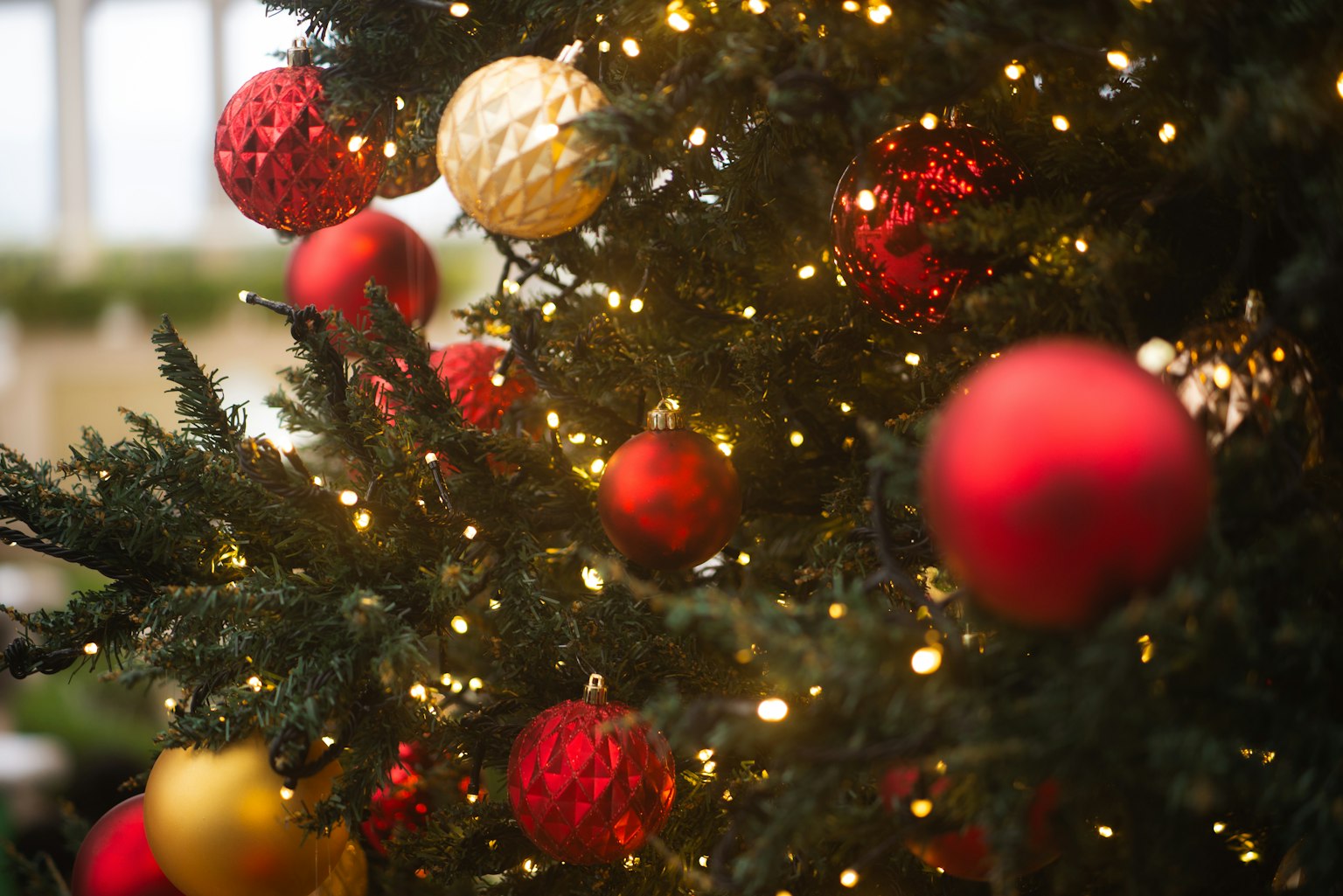 Cây thông Noel trang trí bằng bóng đỏ và vàng cùng đèn sáng lấp lánh