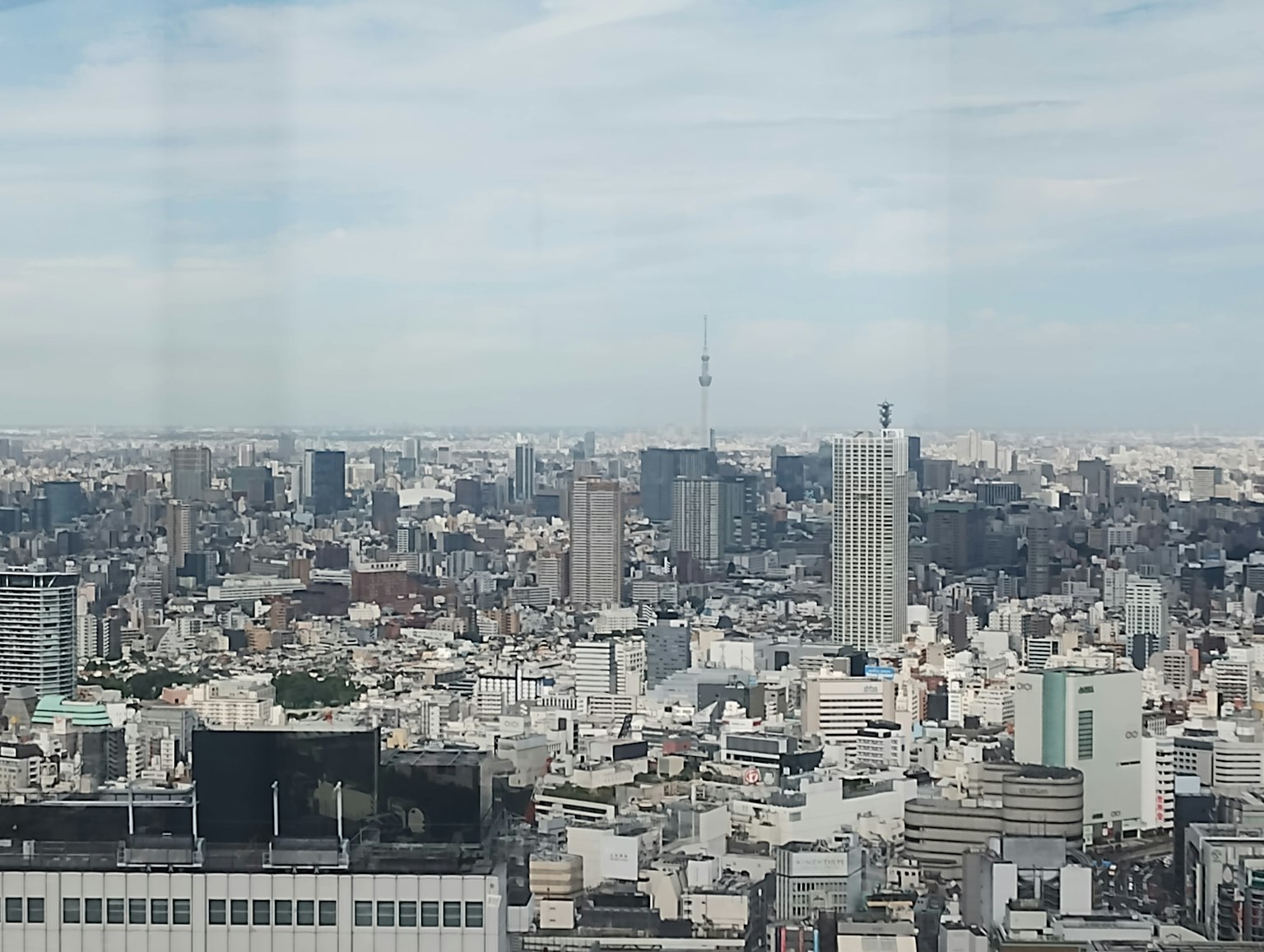 Vue panoramique de gratte-ciels urbains avec la Tokyo Tower au loin