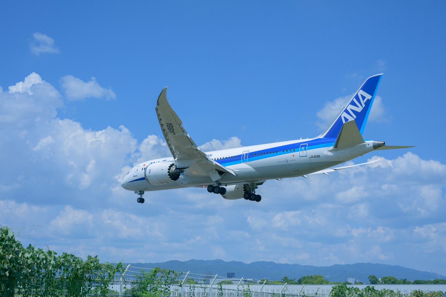 Avion ANA atterrissant sous un ciel bleu