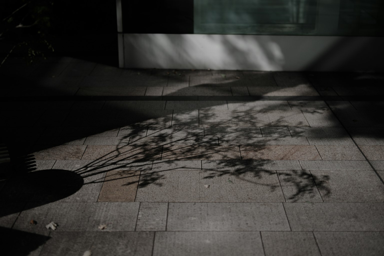 Image capturing the shadow spreading on the ground