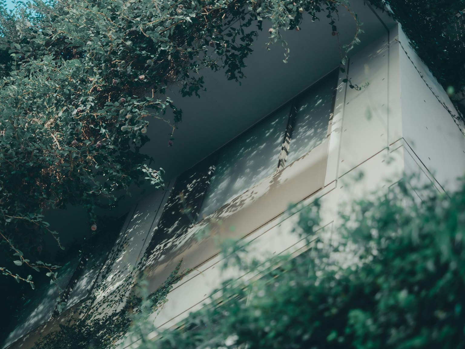 Facciata di un edificio moderno coperta di vegetazione