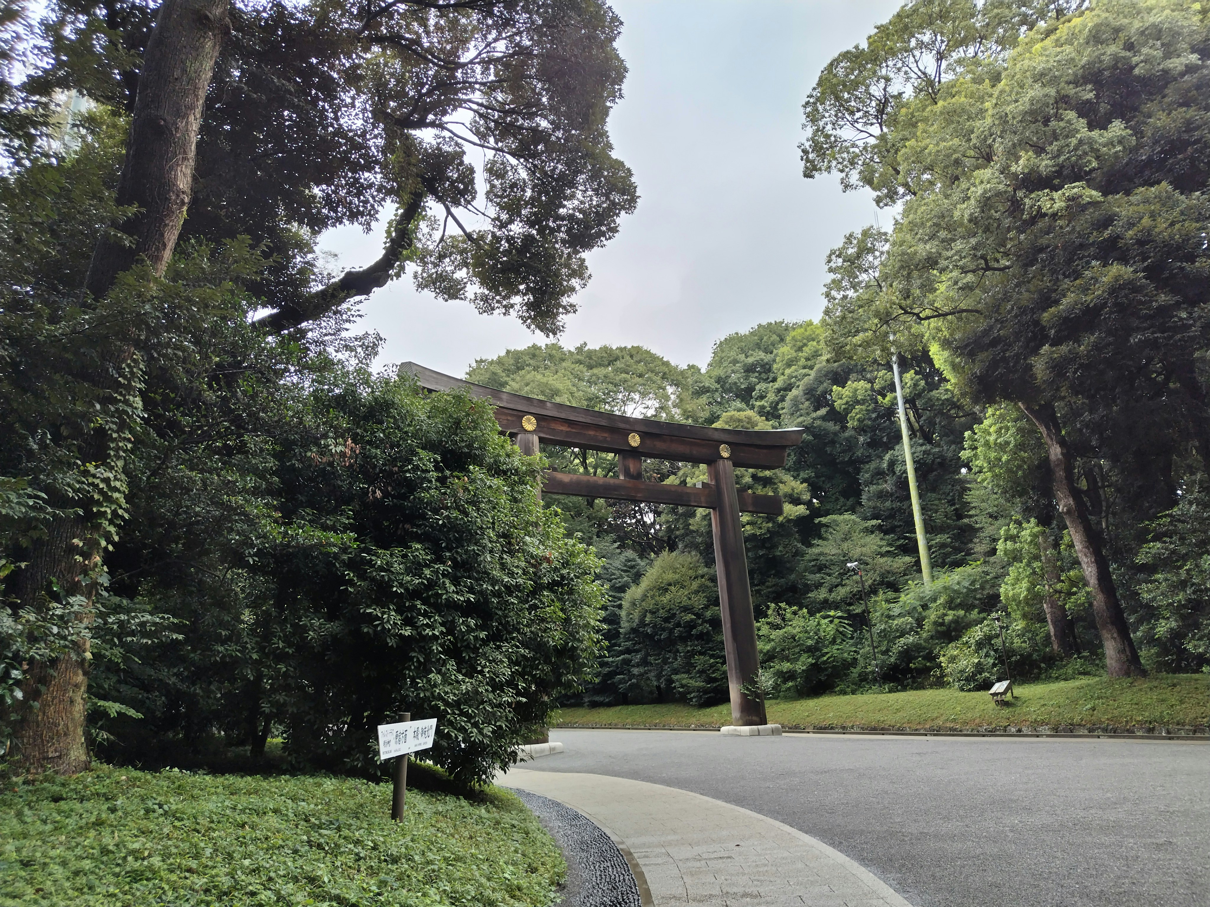 緑の森に囲まれた鳥居のある参道
