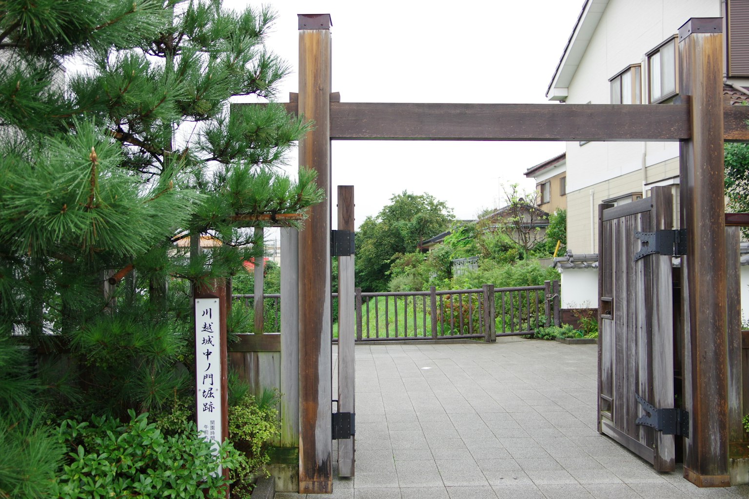 Porta in legno circondata da vegetazione che conduce a un giardino