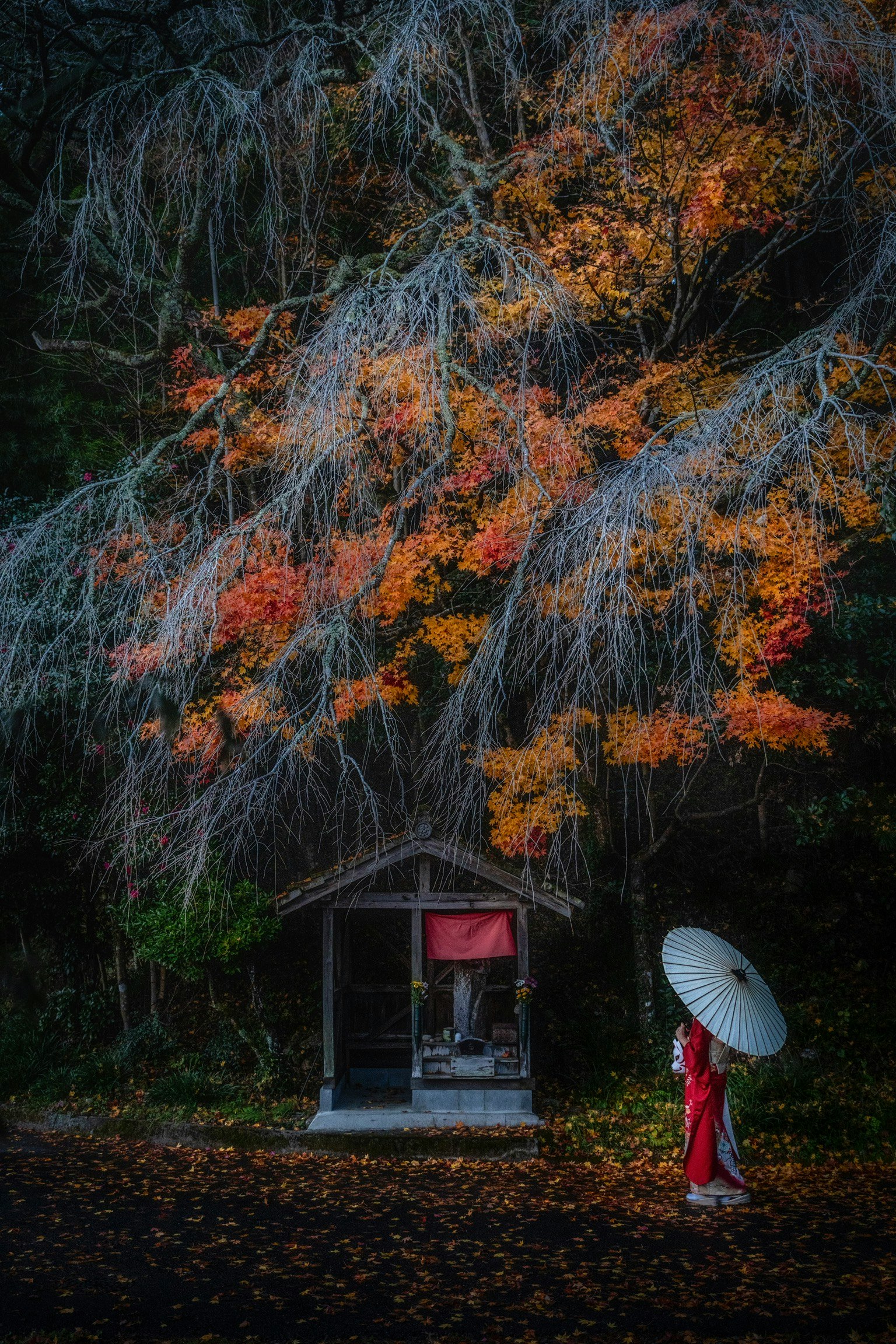 しだれ桜と紅葉の並木の下で傘をさす人物と小さな屋台のある秋の庭園