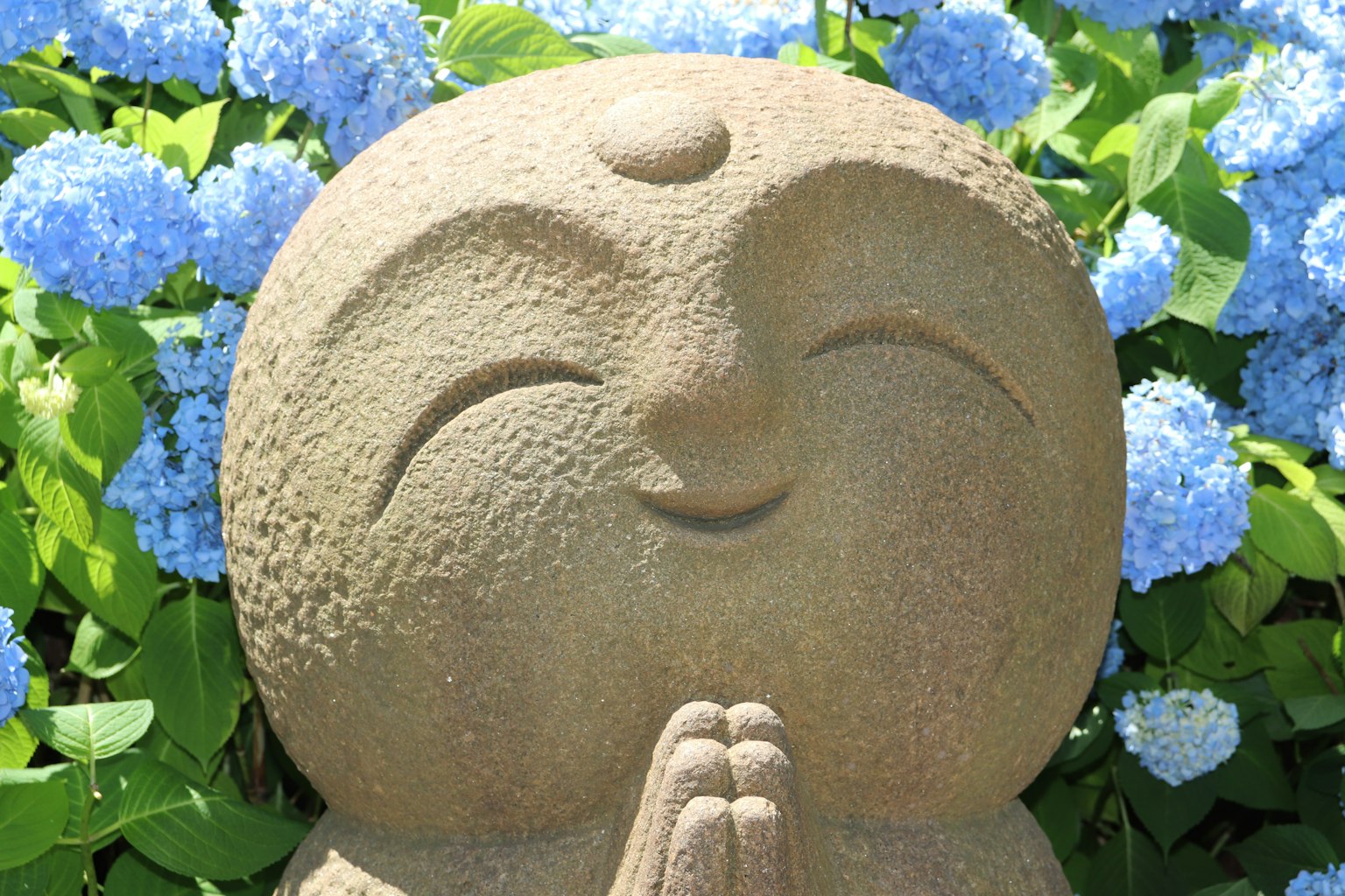 Statue en pierre souriante devant des hortensias bleus