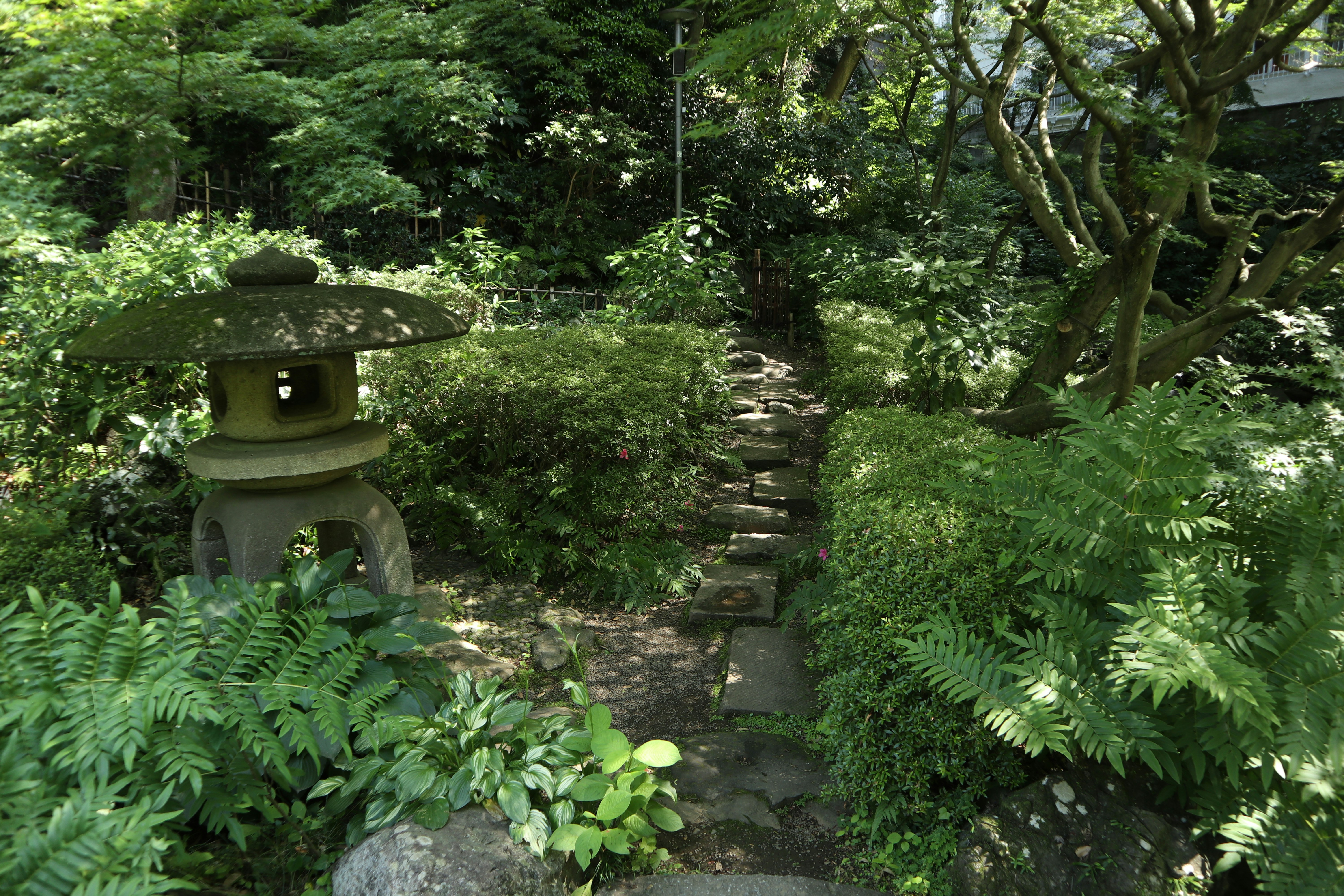 苔むした石畳の小道と灯籠のある庭園