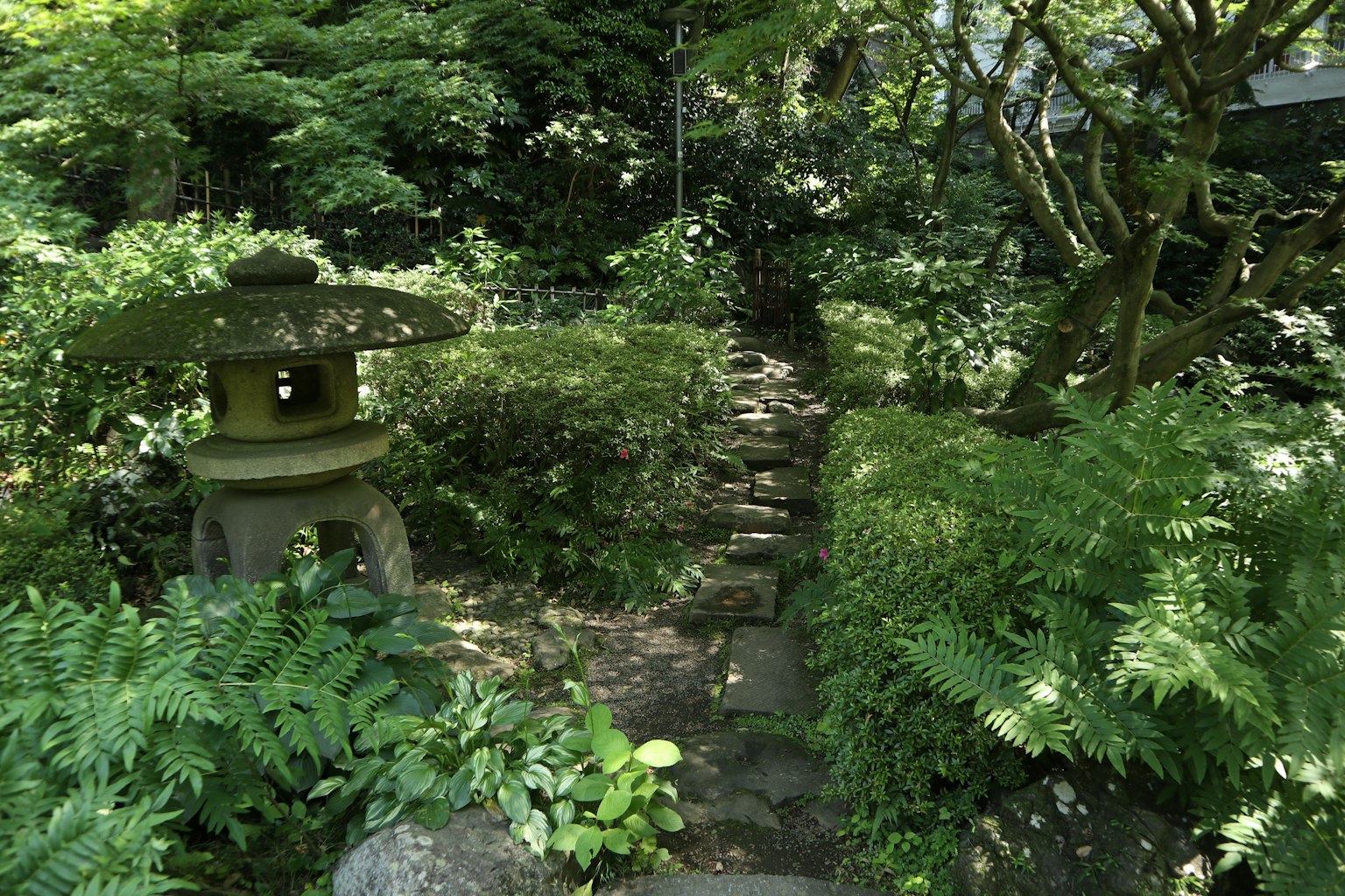 Japanese garden path featuring a stone lantern and lush greenery