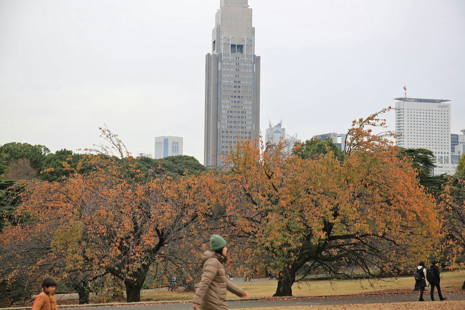 在公園裡散步的人和秋天的樹木，以及背景中的摩天大樓