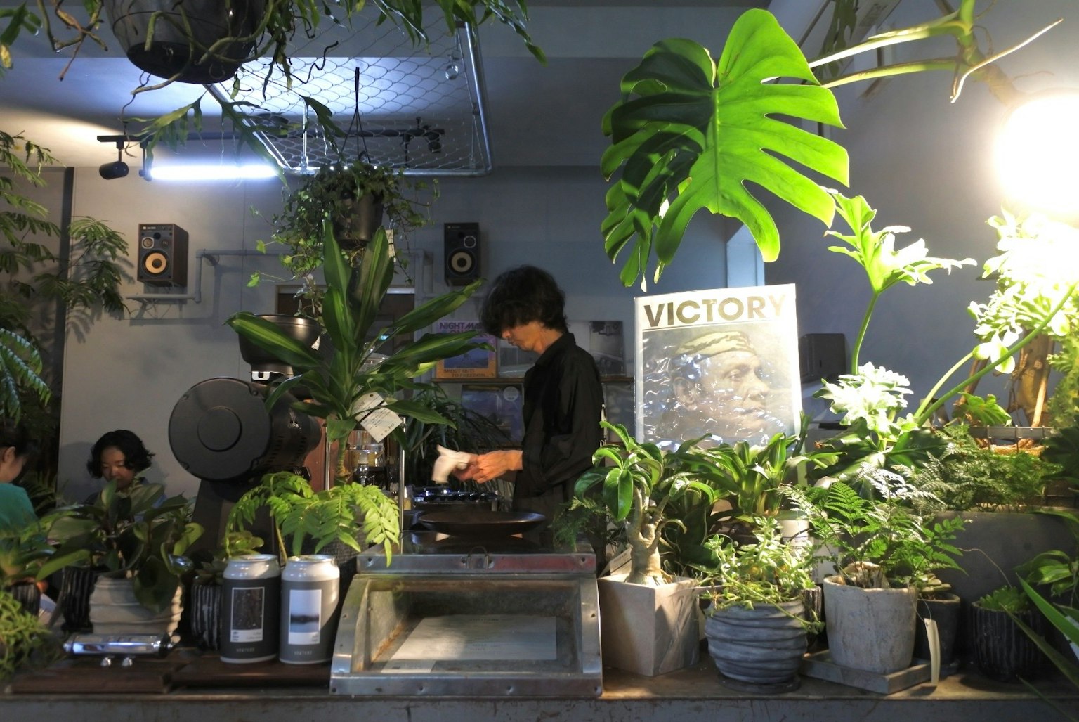 一名咖啡店员工在各种植物中工作