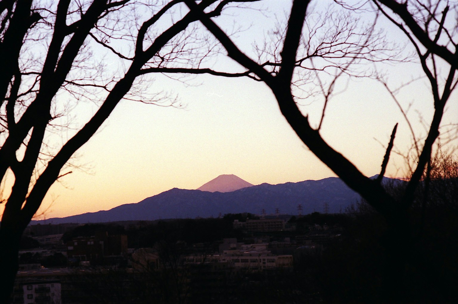 Silhouette des Fuji-Berges bei Dämmerung, eingerahmt von kahlen Bäumen