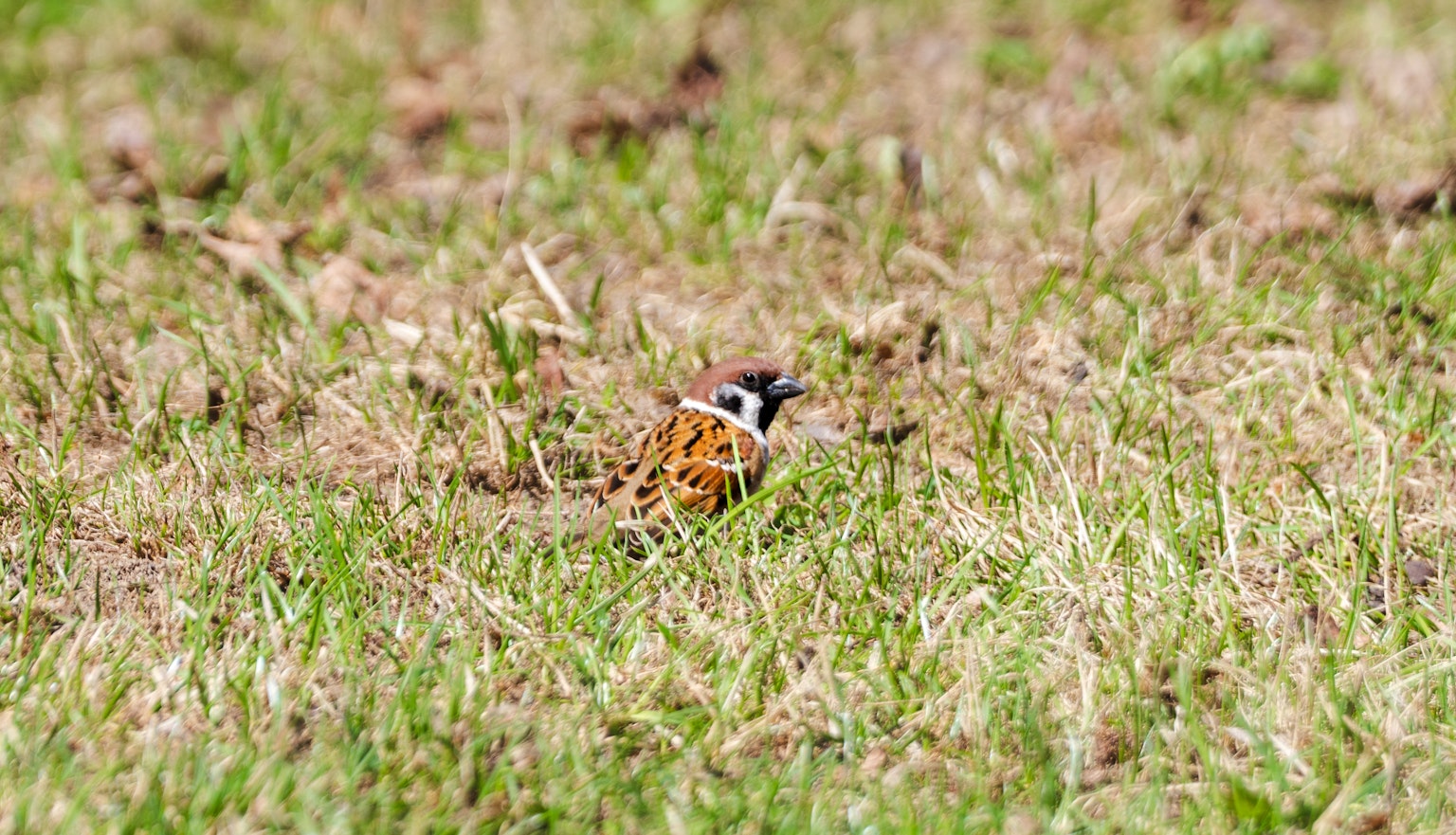 photo-KZmHEF4AQBJSaNrGj6WU-image