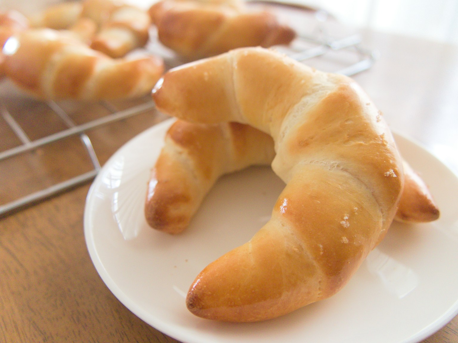 Freshly baked croissant on a white plate