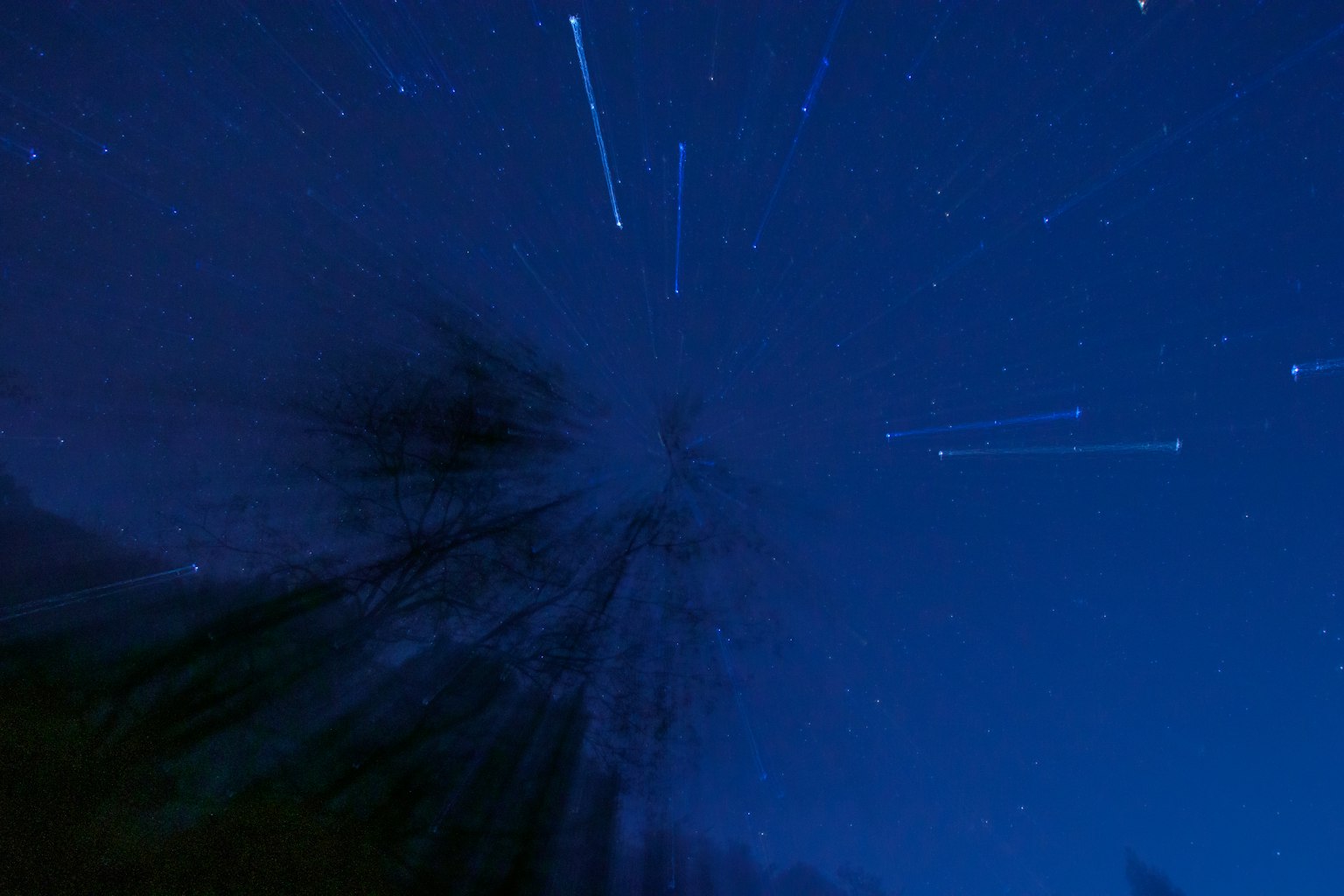 Starry night sky with bright stars and silhouette of trees