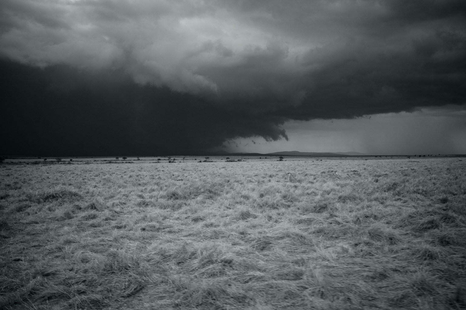 Desain grafis sederhana di latar belakang gelap