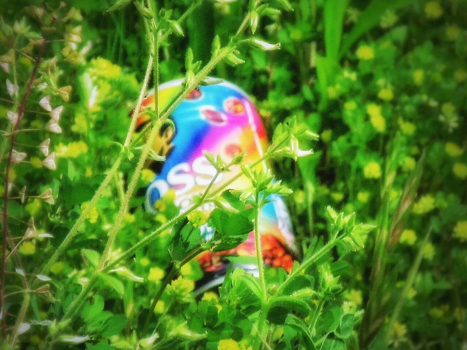 Bunte Getränkedose teilweise im grünen Gras versteckt