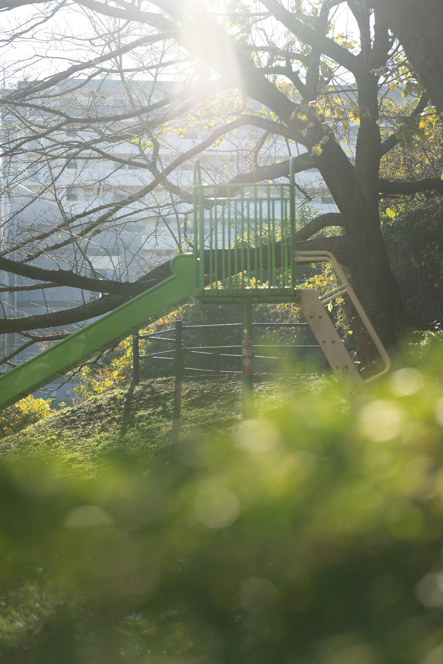 Grüne Rutsche in einem Park umgeben von Bäumen und Sonnenlicht
