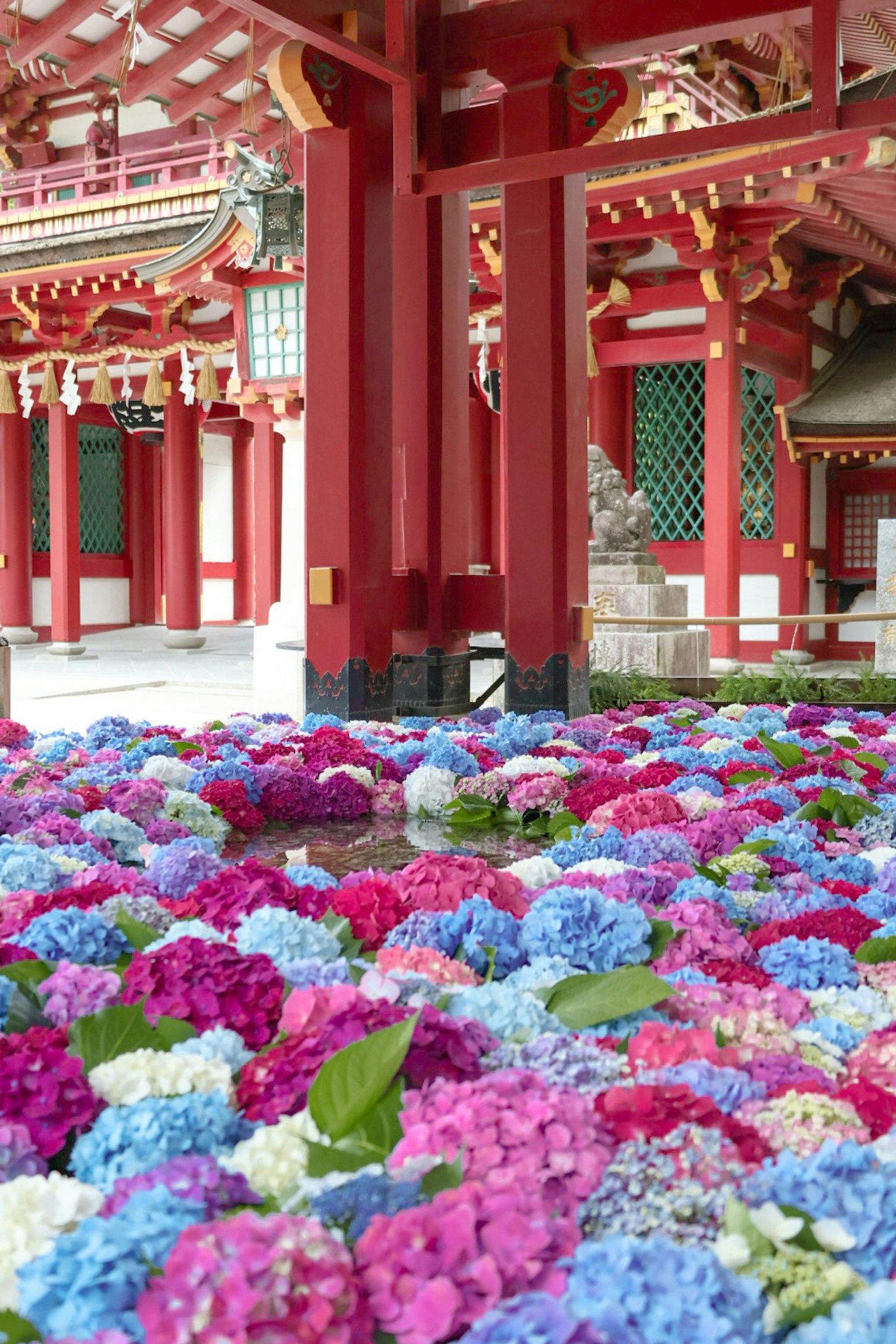 Ortensie colorate che fioriscono davanti a un santuario rosso con architettura intricata