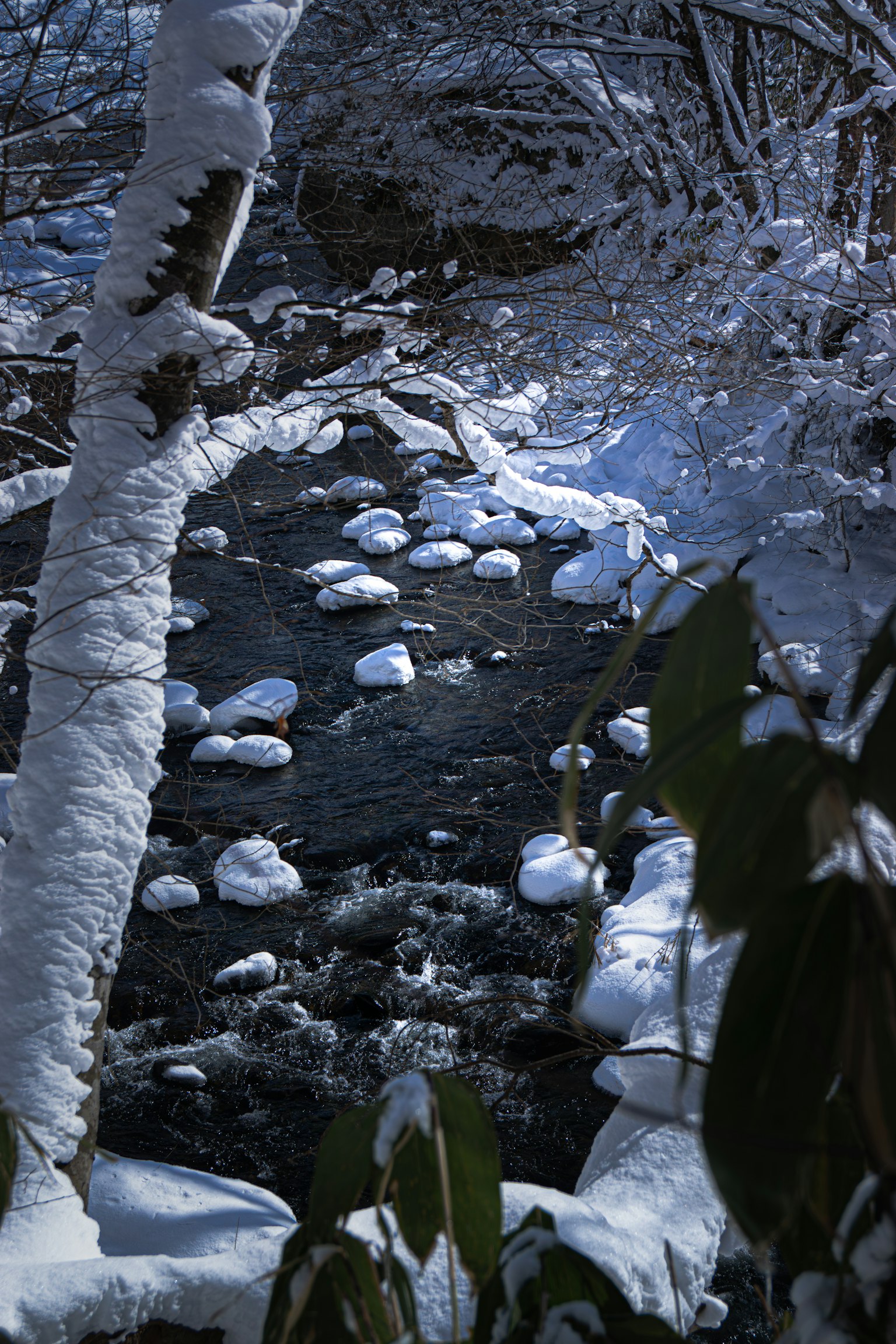 Winterlandschaft eines Baches umgeben von schneebedeckten Bäumen