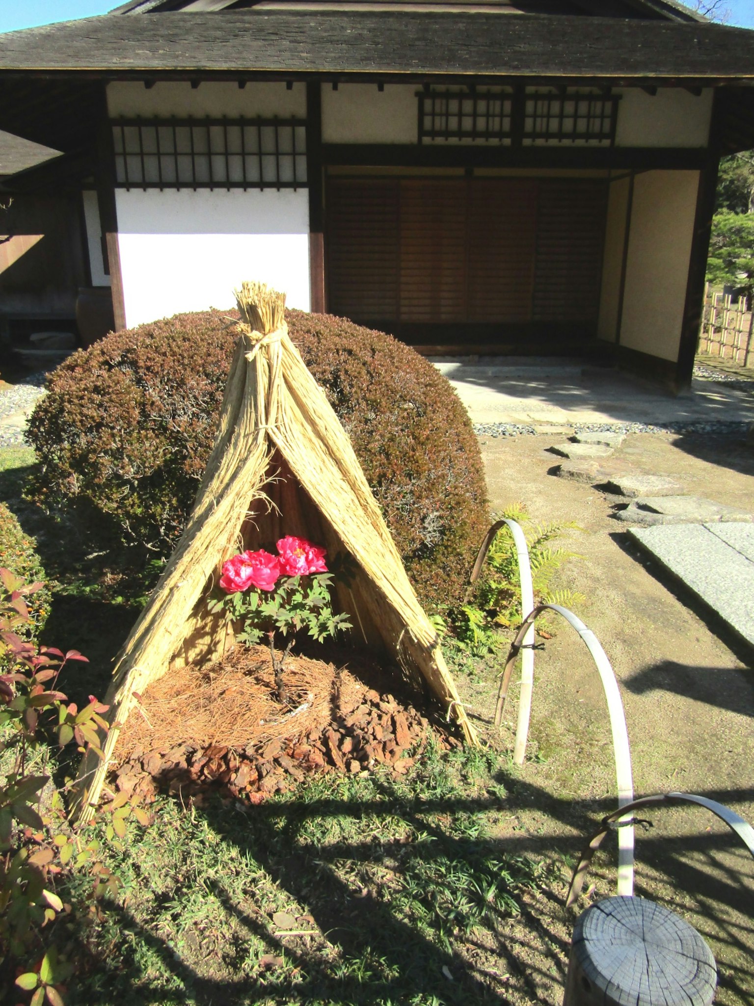 Taman Jepang tradisional dengan tempat berlindung dan bunga yang dilindungi