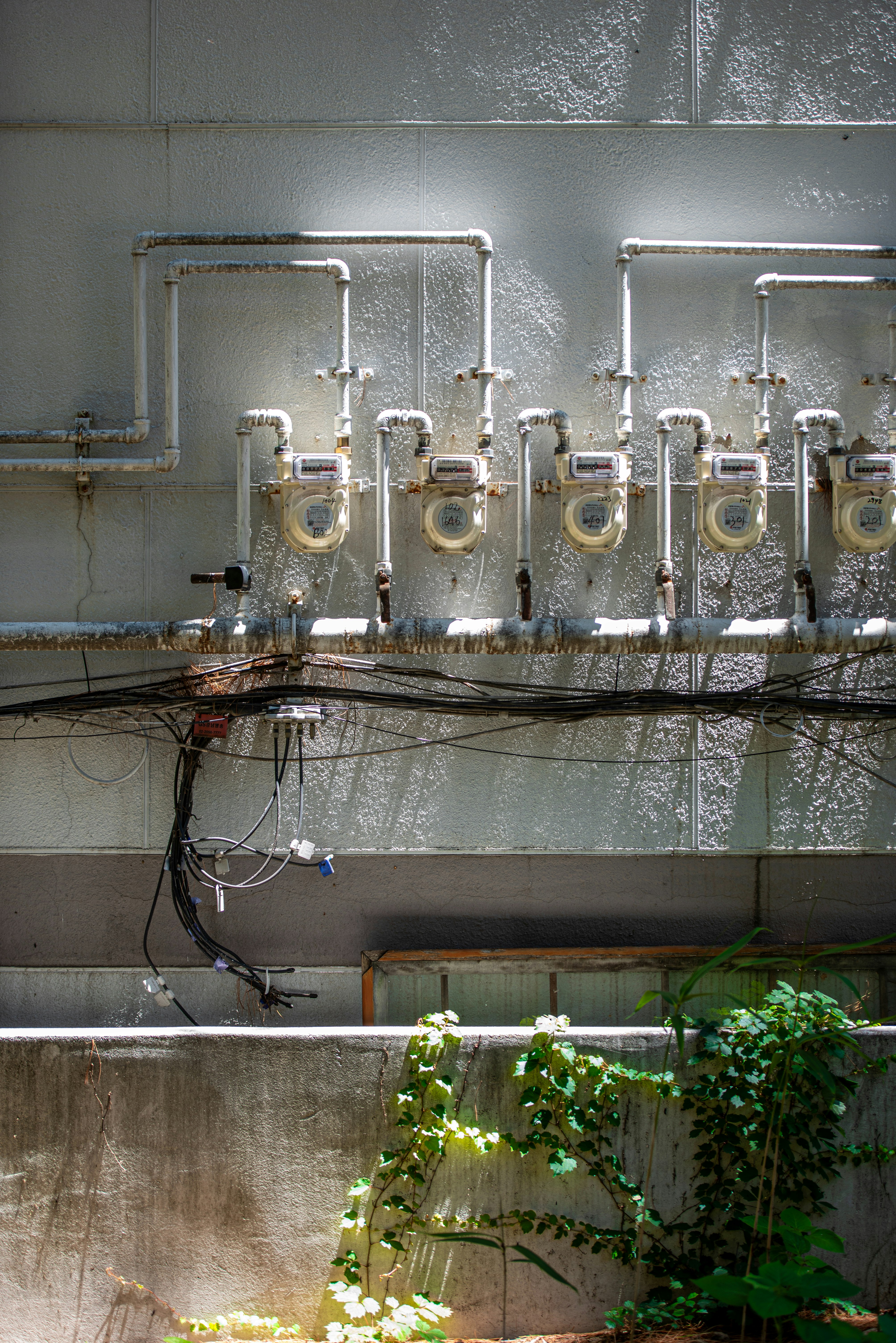 wall of industrial piping and valves