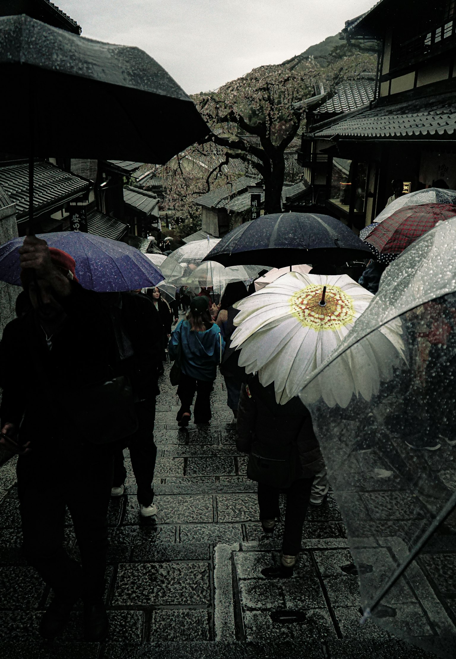 Des gens descendant des escaliers en pierre avec des parapluies un parapluie floral se distingue