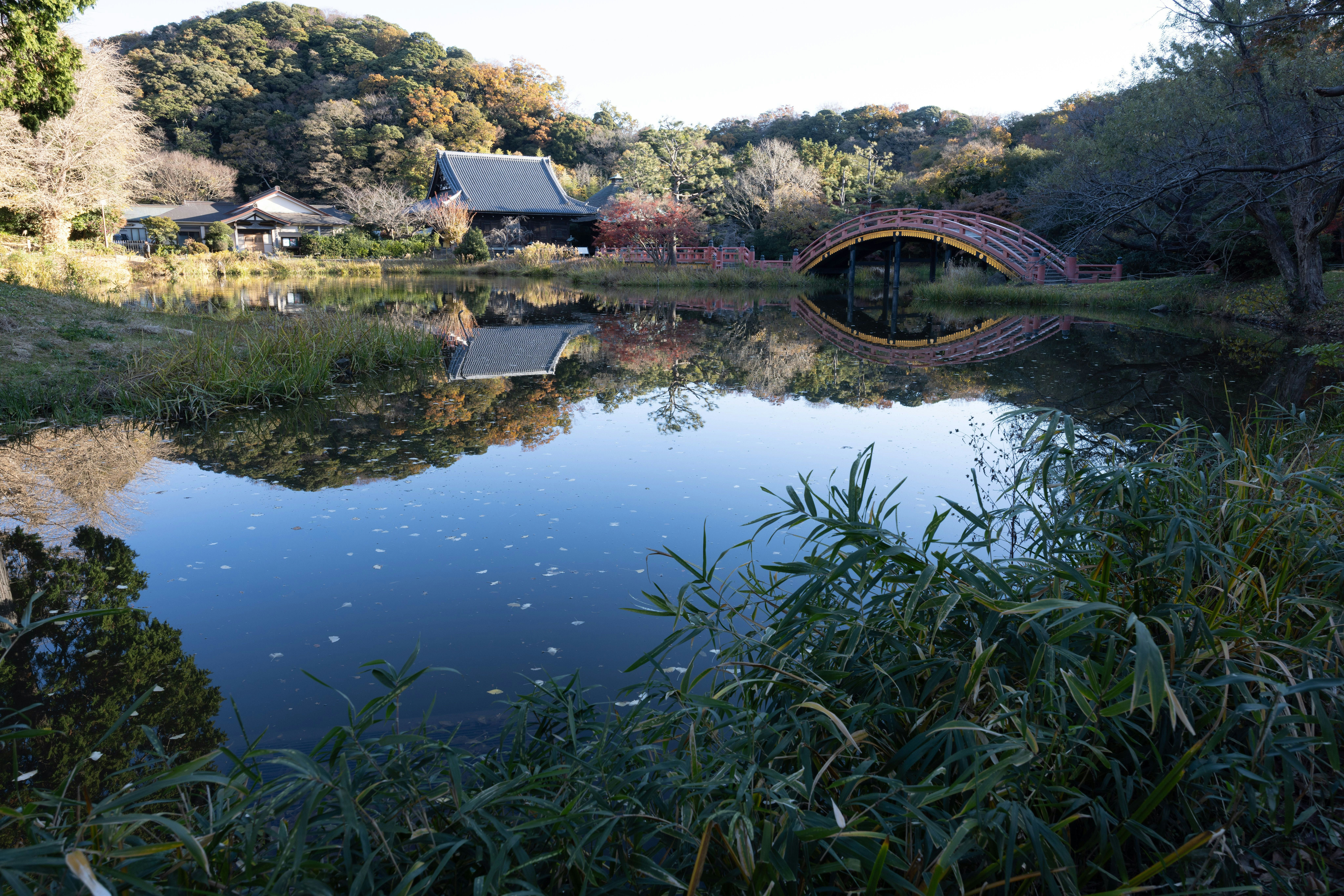 laghetto del giardino con riflesso di un ponte ad arco in pietra