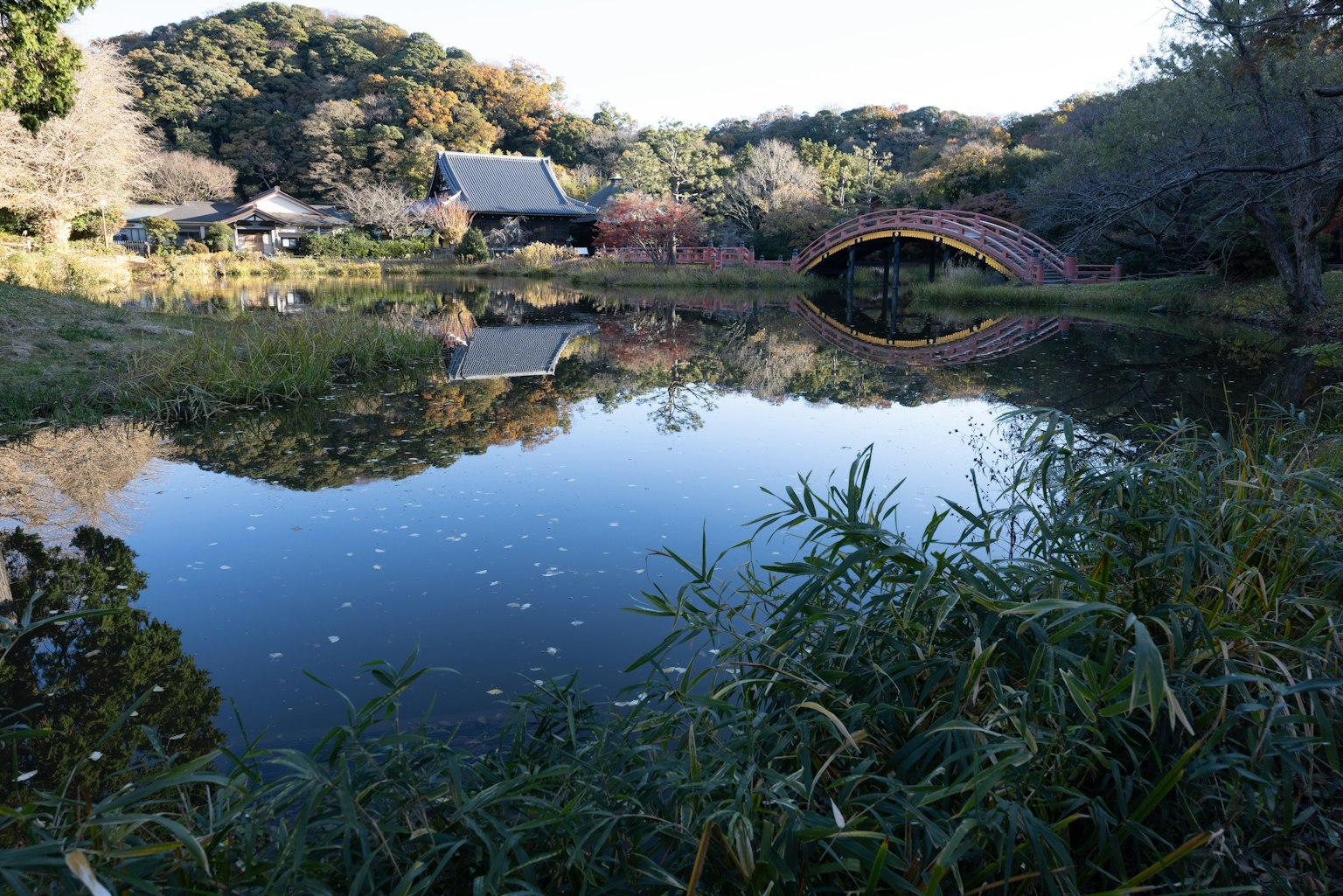 Scène de jardin japonais serein avec un étang et un pont rouge