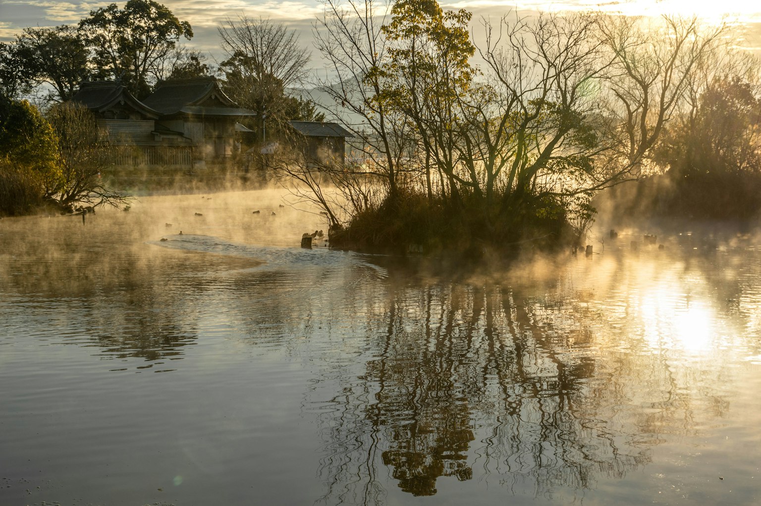 Superficie tranquila de un lago con niebla reflejando árboles y luz suave