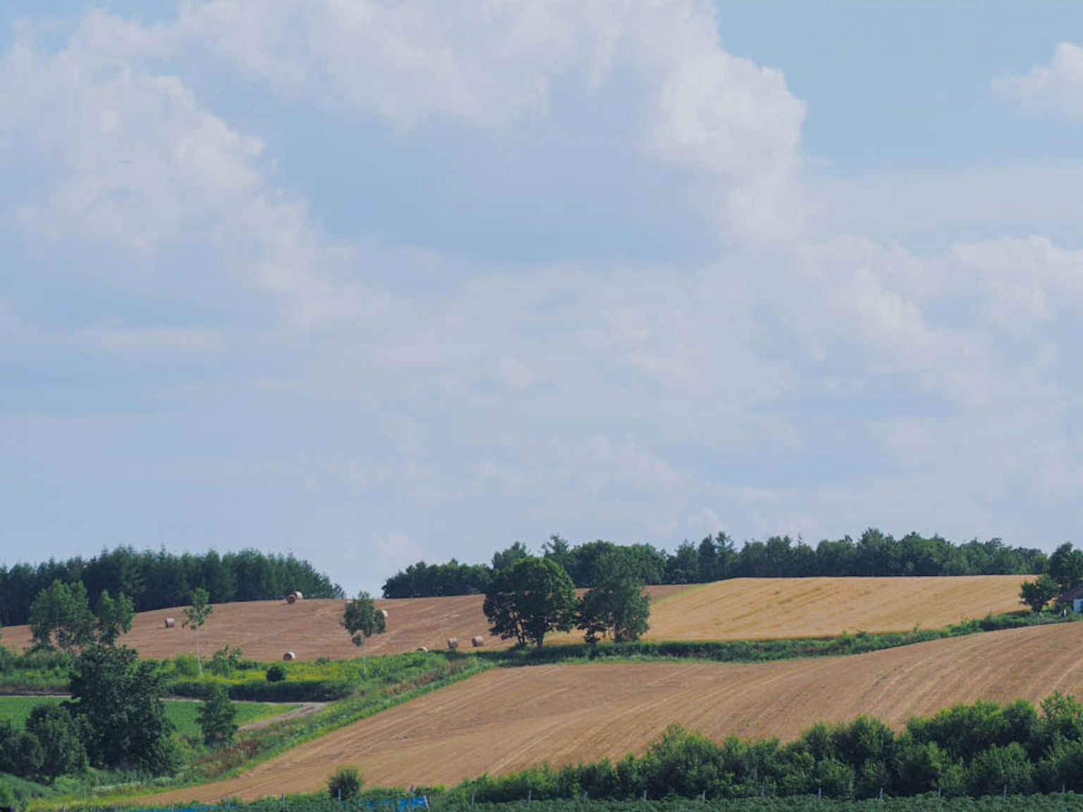 Green and brown farmland under a blue sky with white clouds