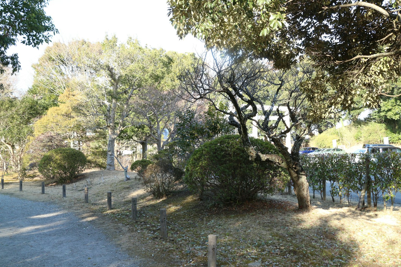 靜謐的公園場景 綠色樹木和草地小徑被圍籬圍繞