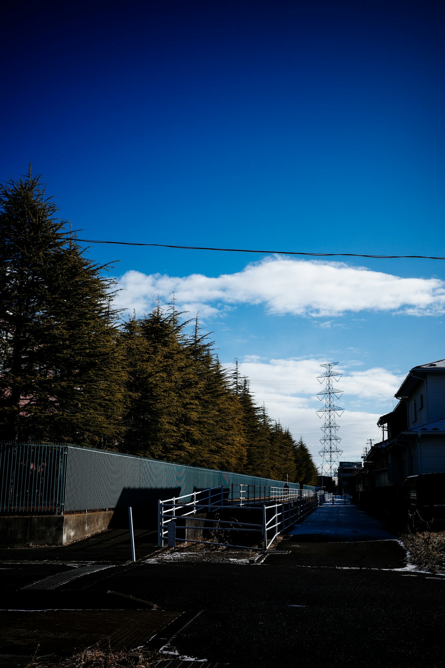 Una strada fiancheggiata da alberi sotto un cielo blu con nuvole e linee elettriche