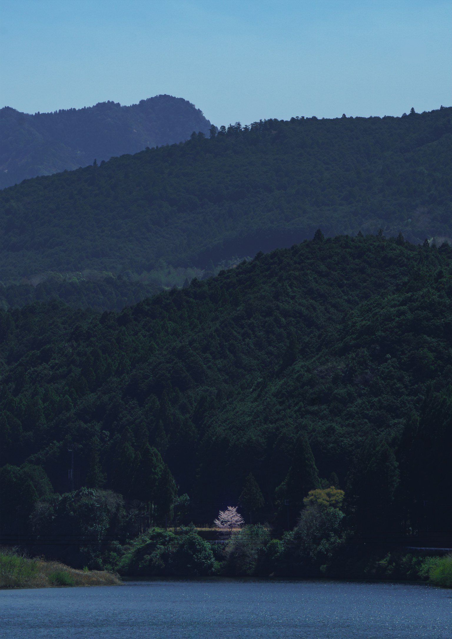 photo-KebUBt7ZR3UgJJPyMtKb-image