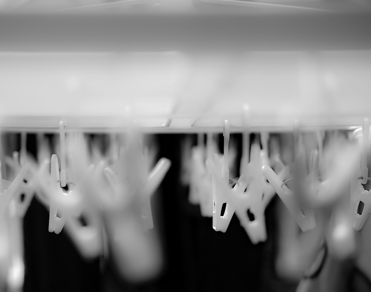 photo-KfMUFl7MvtaN7J1AUyZ9-image