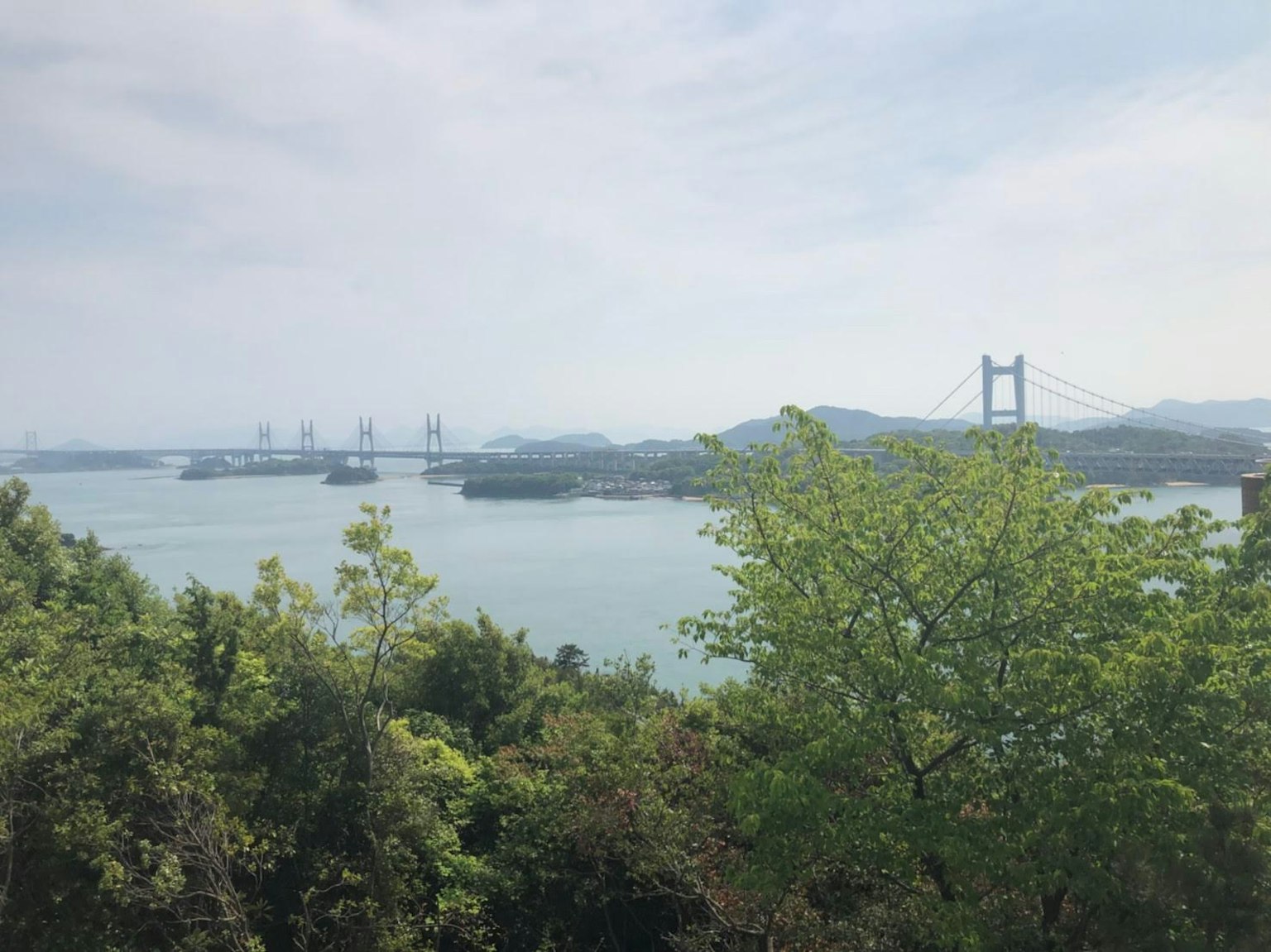 푸른 나무와 잔잔한 물 위에 다리가 있는 경치