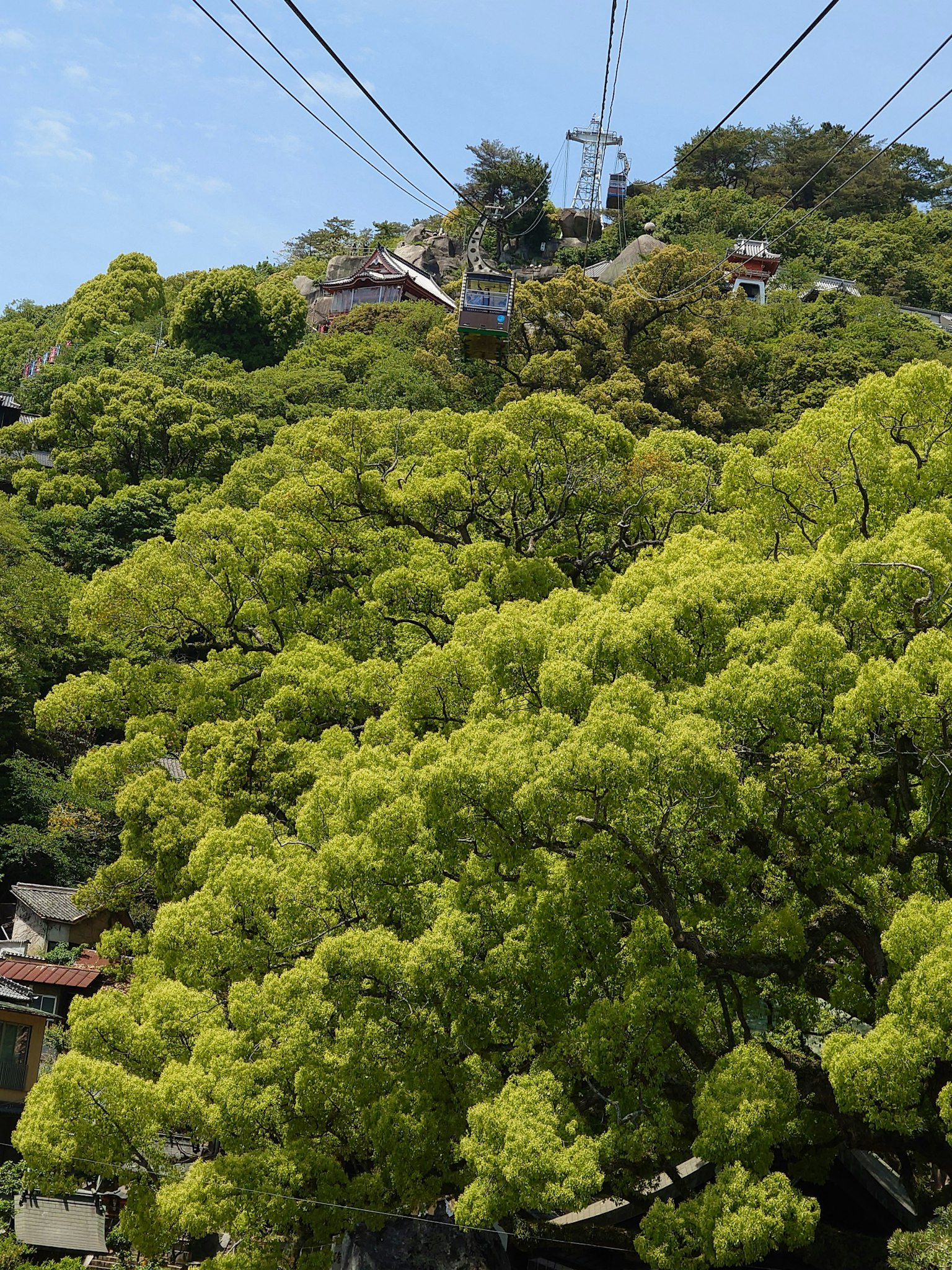 Cable car above lush green trees with a hillside in the background