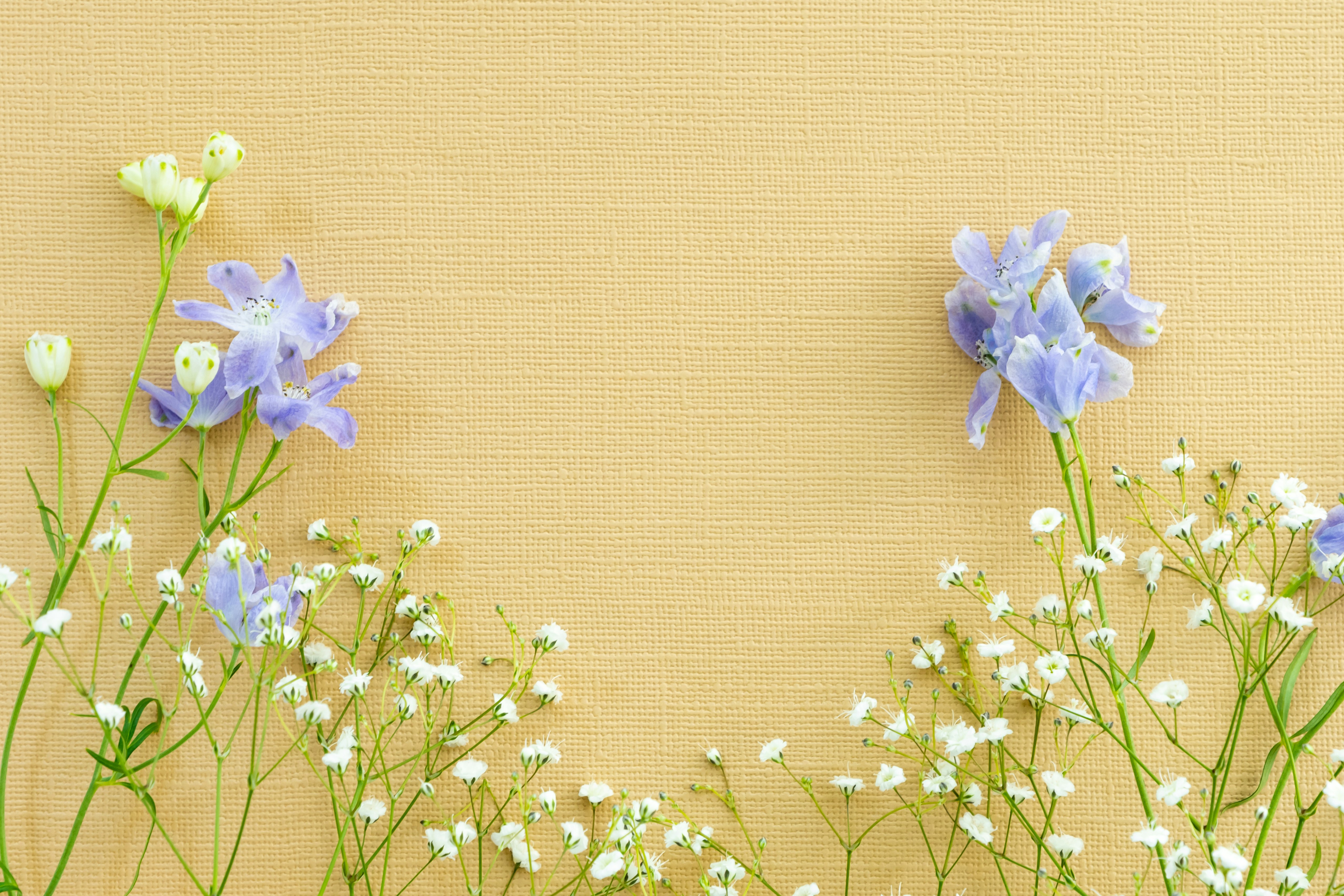 黄色い壁の前に咲く青い花と小さな白い花