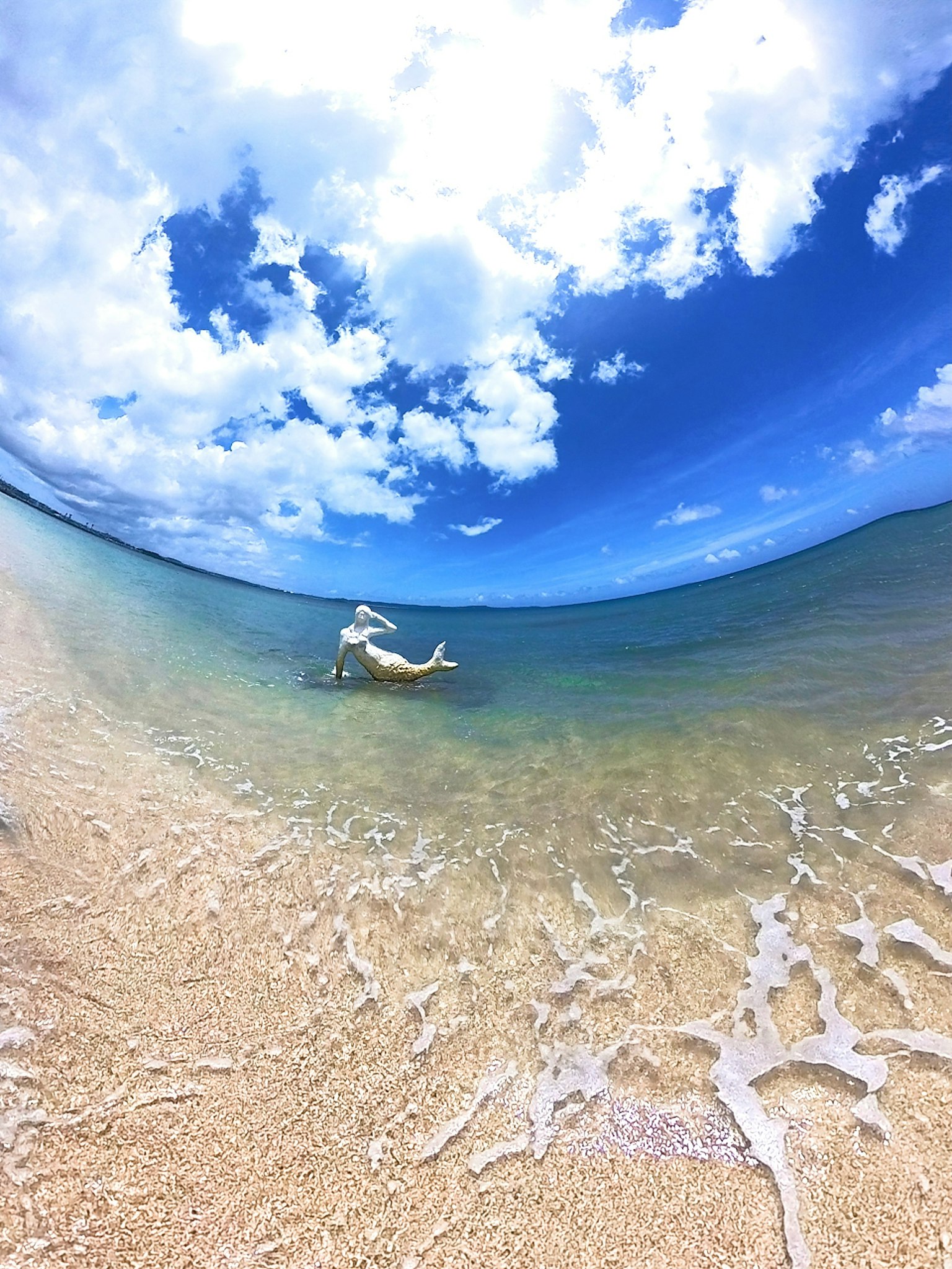 Seekor anjing berenang di pantai dengan langit biru dan awan