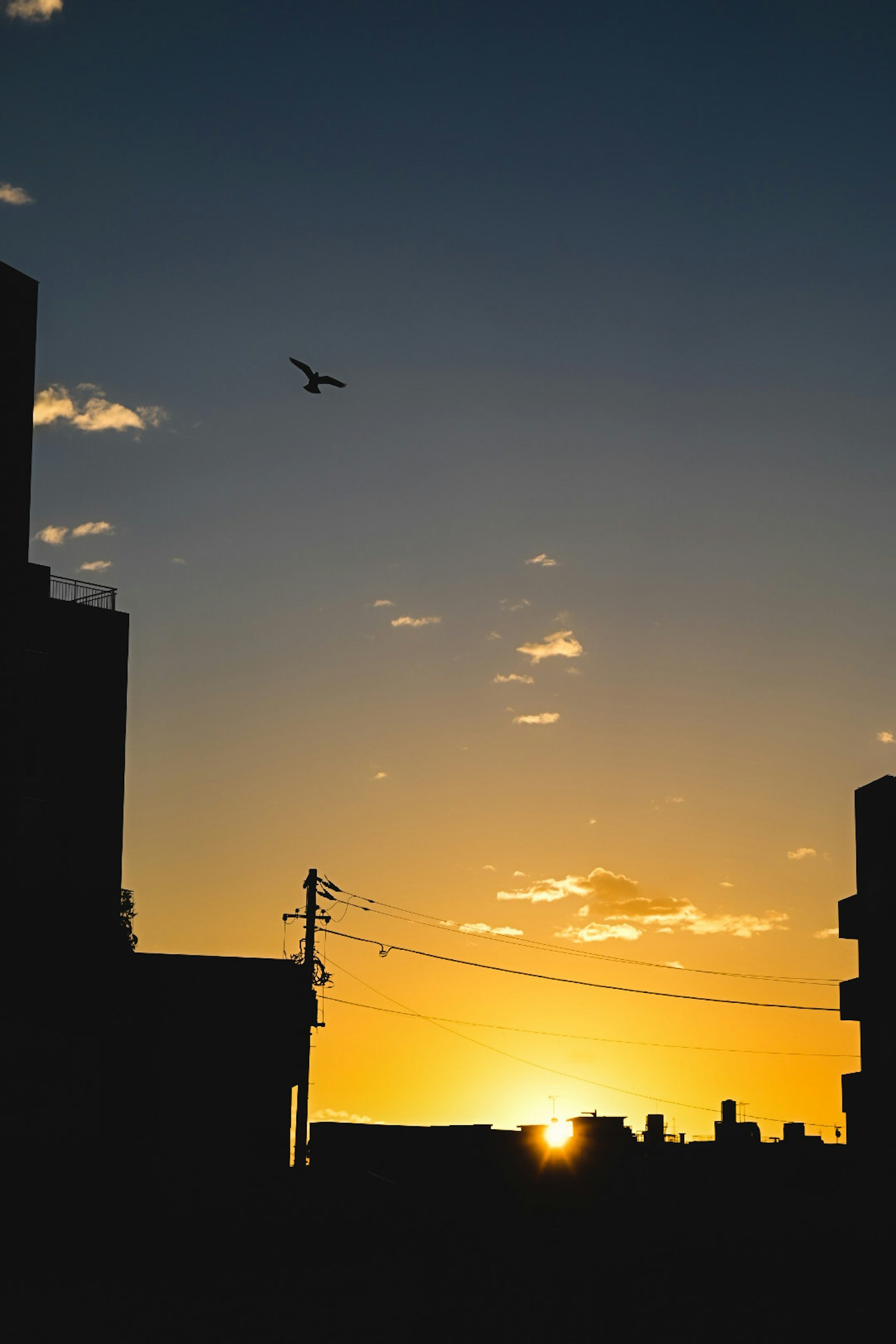 Silhouette di un paesaggio urbano al tramonto con un aereo