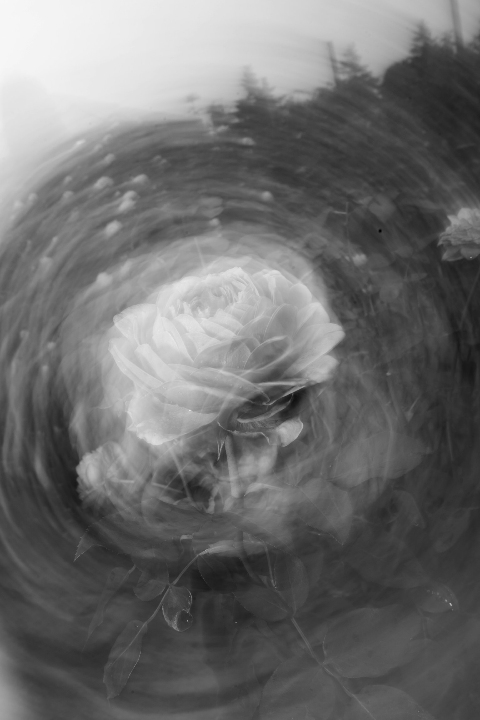 photo-KgN41d5XMPNqMkUbAKuf-image