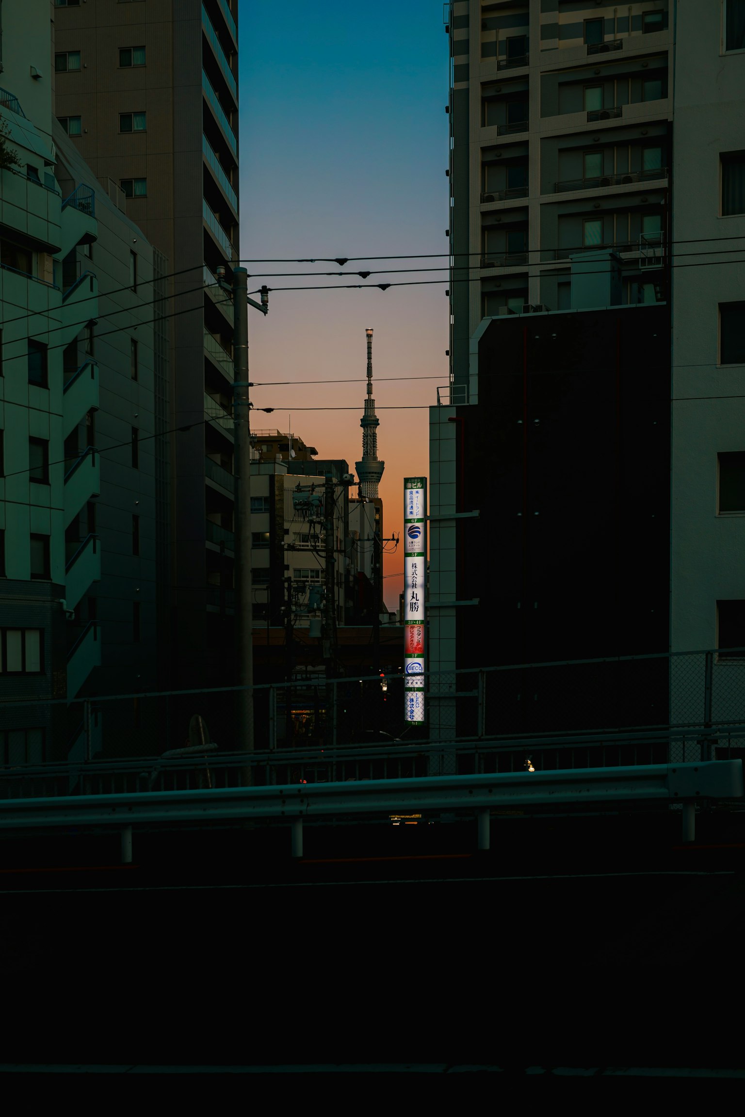 東京日落時的天際線，包含東京天空樹