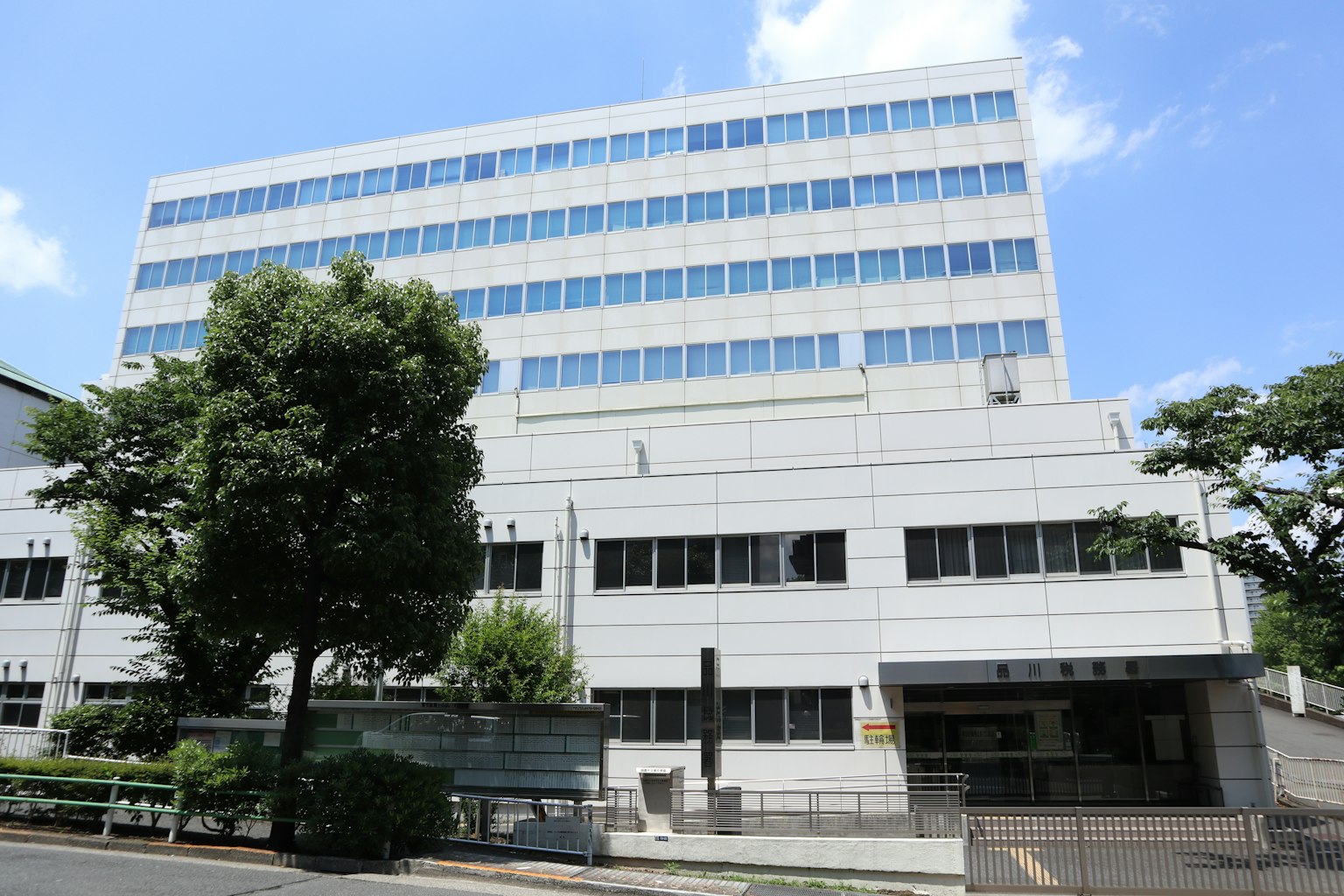 白色建築和周圍的綠樹