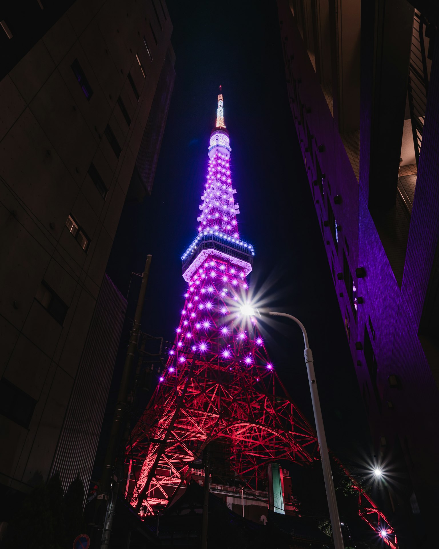 东京塔夜间以紫色和红色照亮