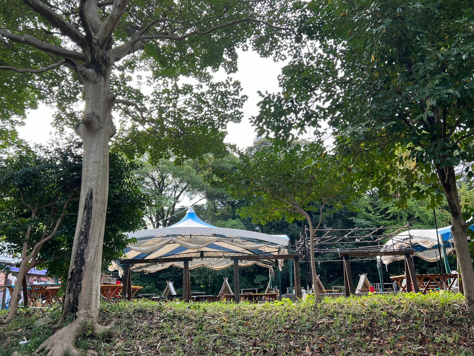 Pemandangan kafe dengan tempat duduk teras dikelilingi pohon