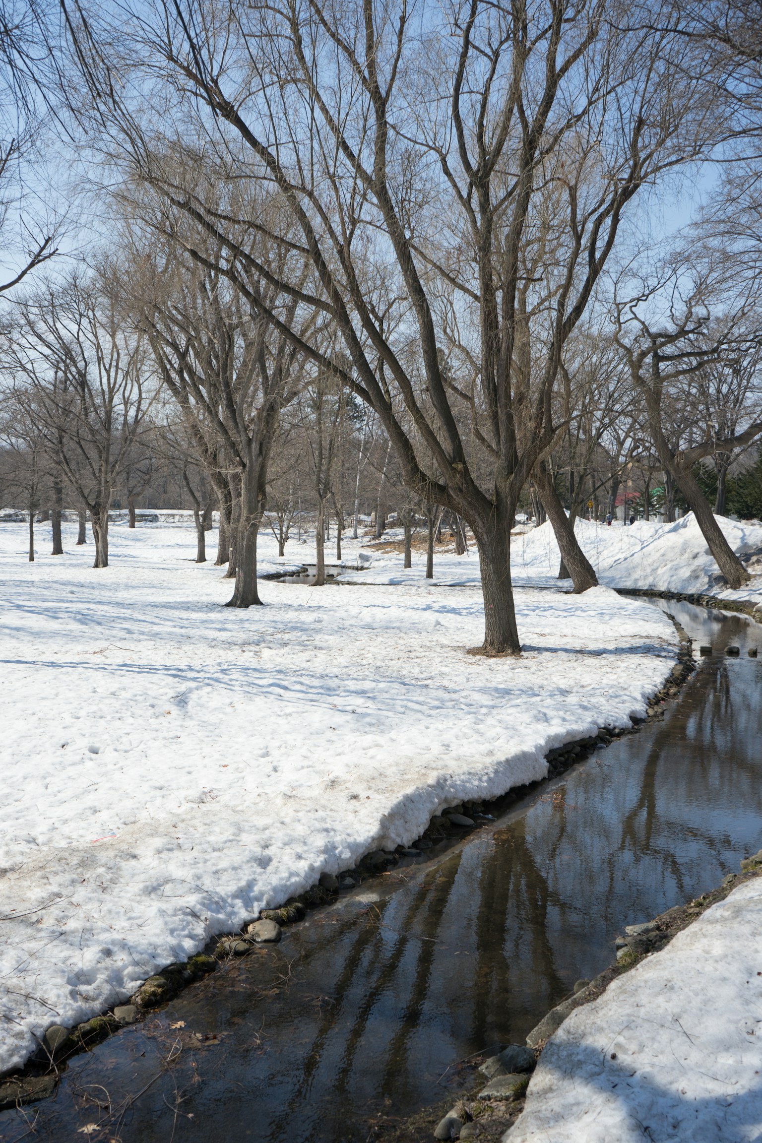 A stream flowing through a snow-covered park with winter trees