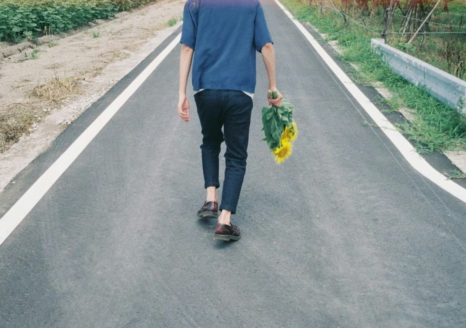 走在路上的人手持向日葵