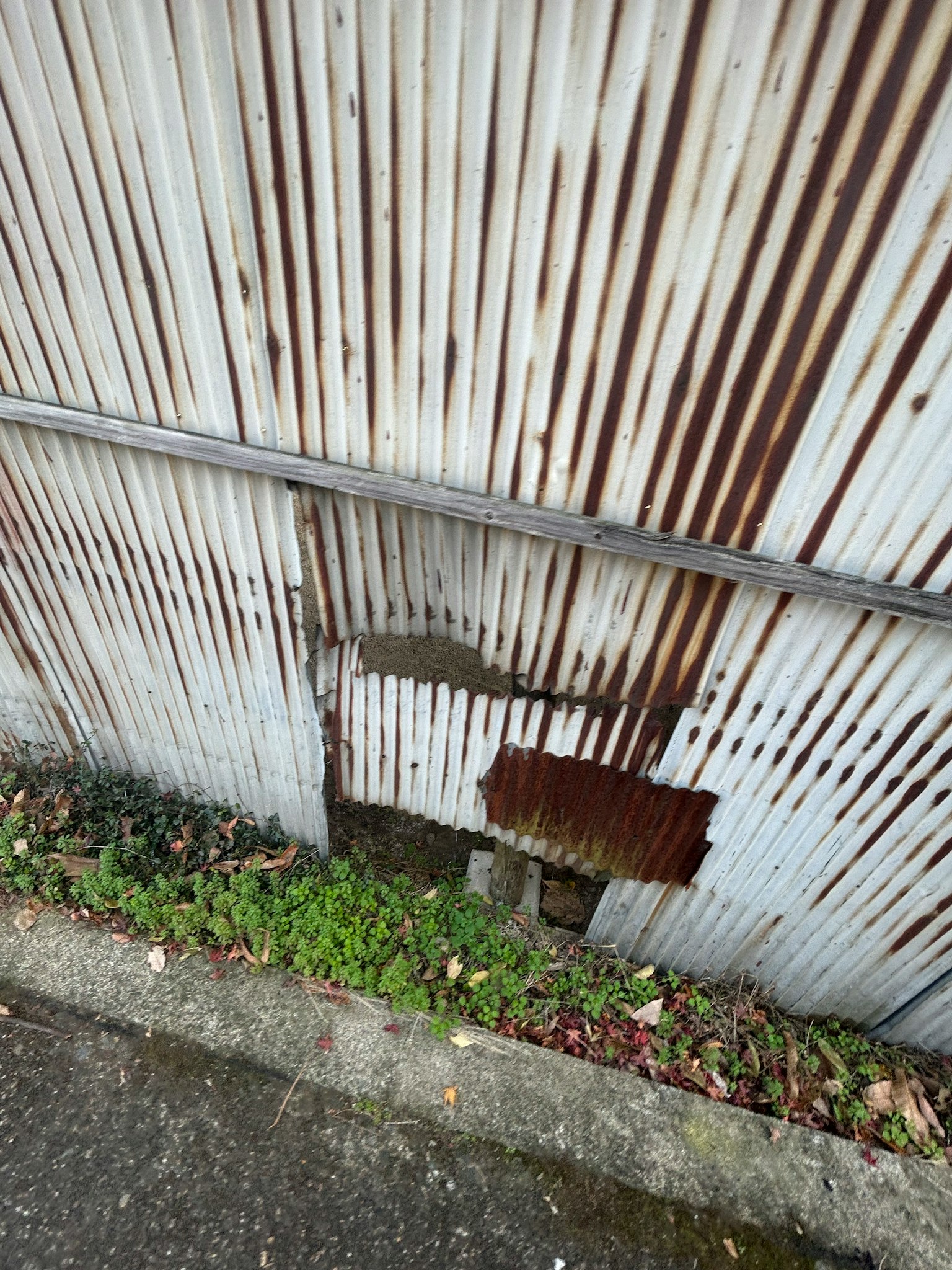 Sezione di muro in metallo arrugginito con erba in basso