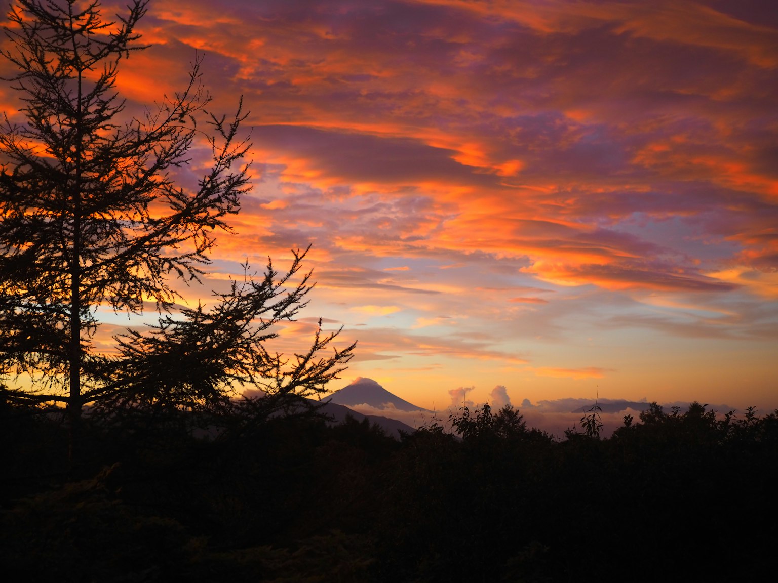 Beautiful sunset sky with vibrant colors and silhouetted trees, mountain in the distance