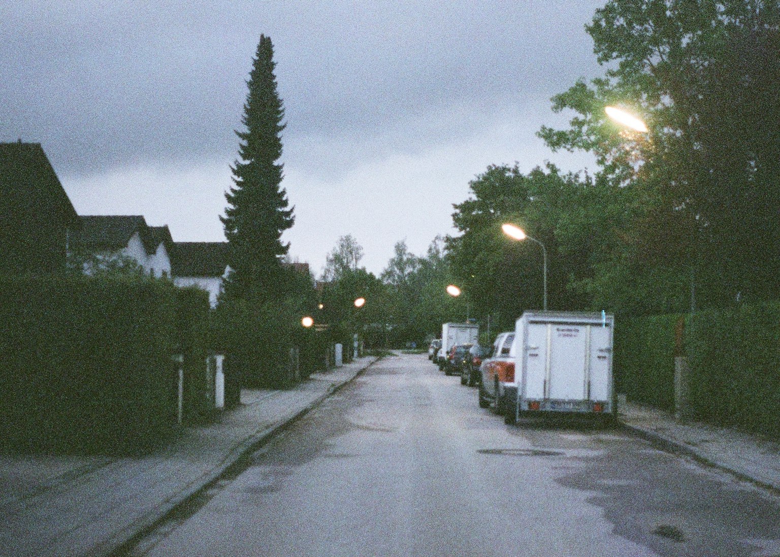 Dimly lit street lined with trees and streetlights